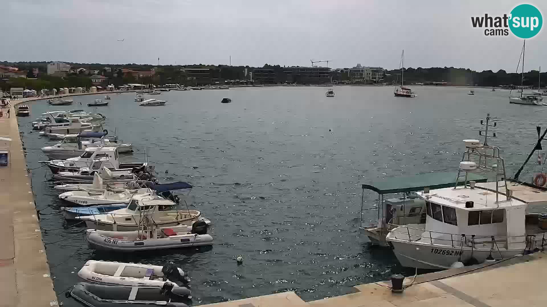 Webcam Novalja seaside promenade