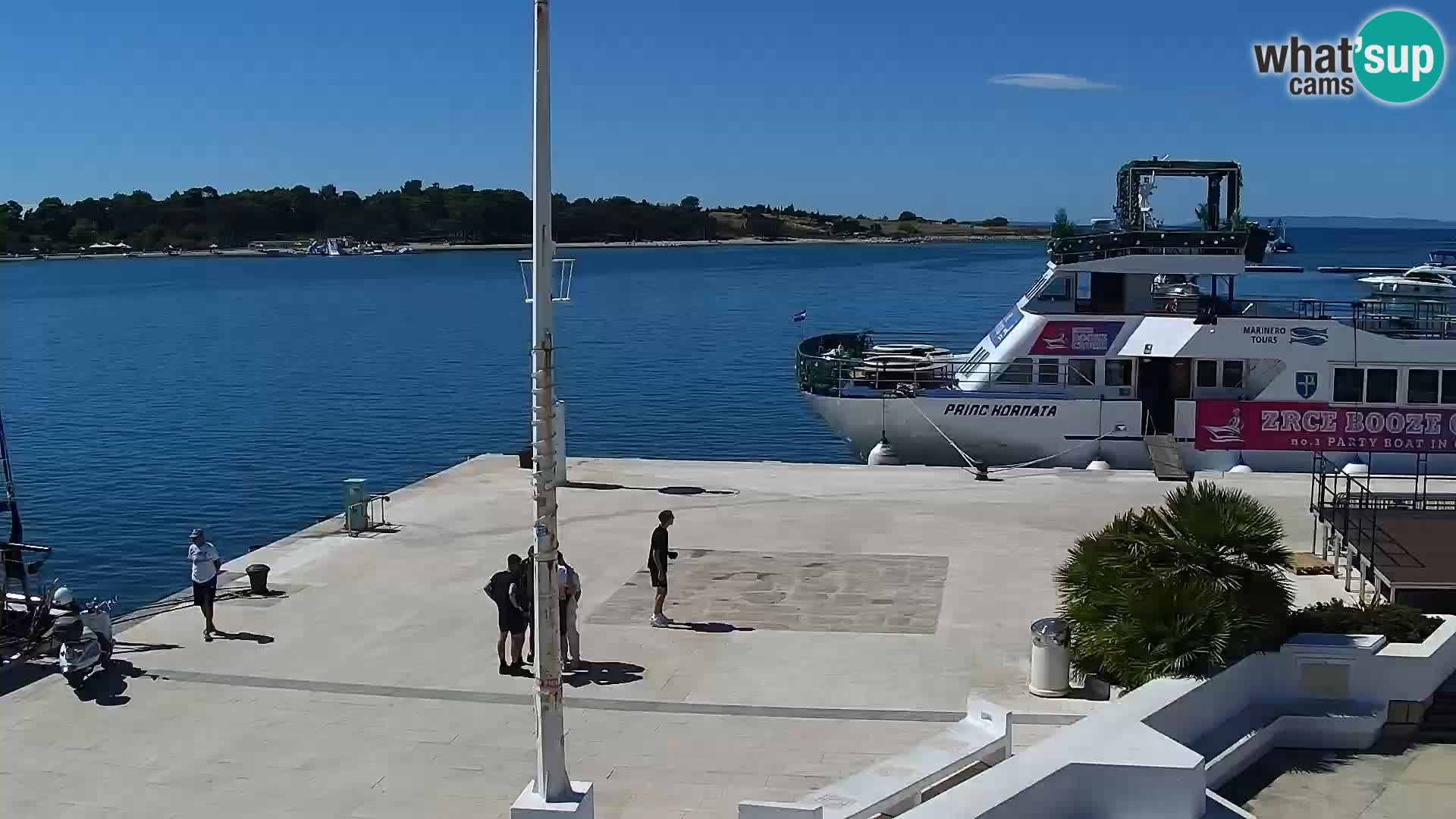 Promenade en Novalia Camera en vivo