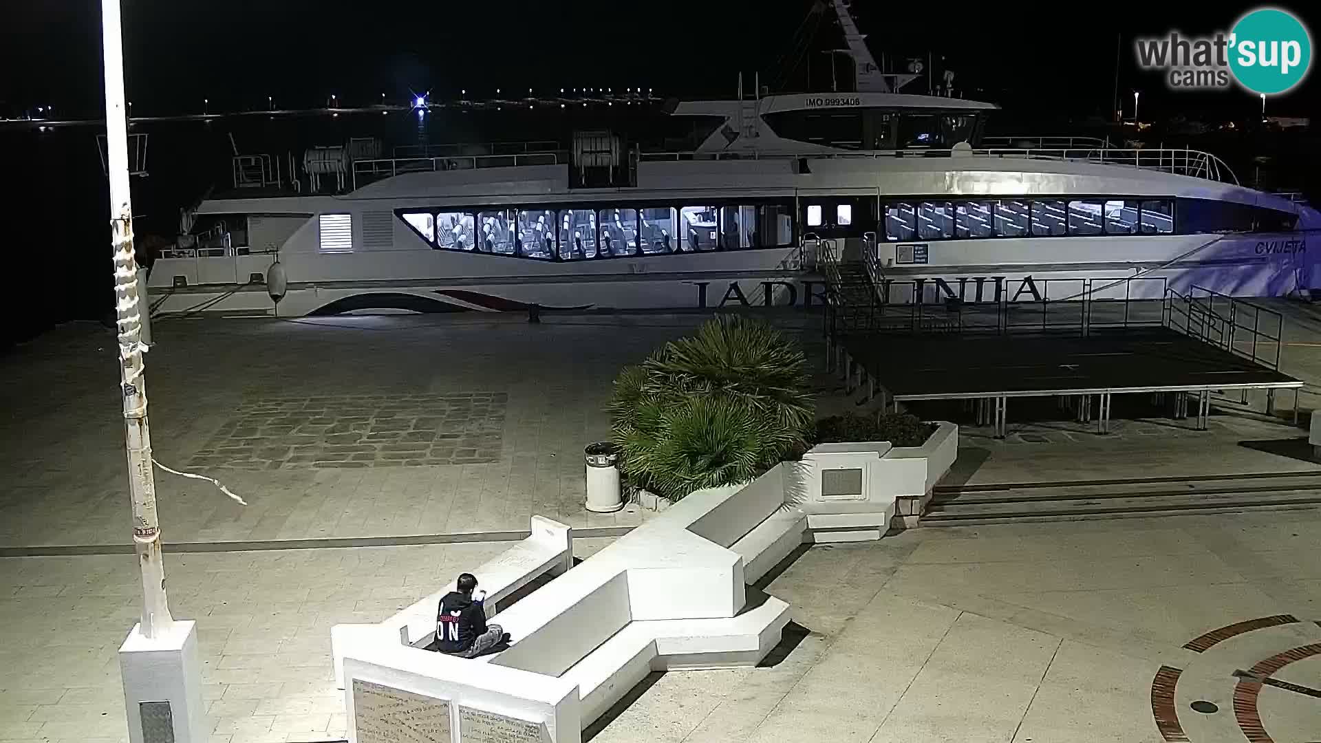 Promenade en Novalia Camera en vivo