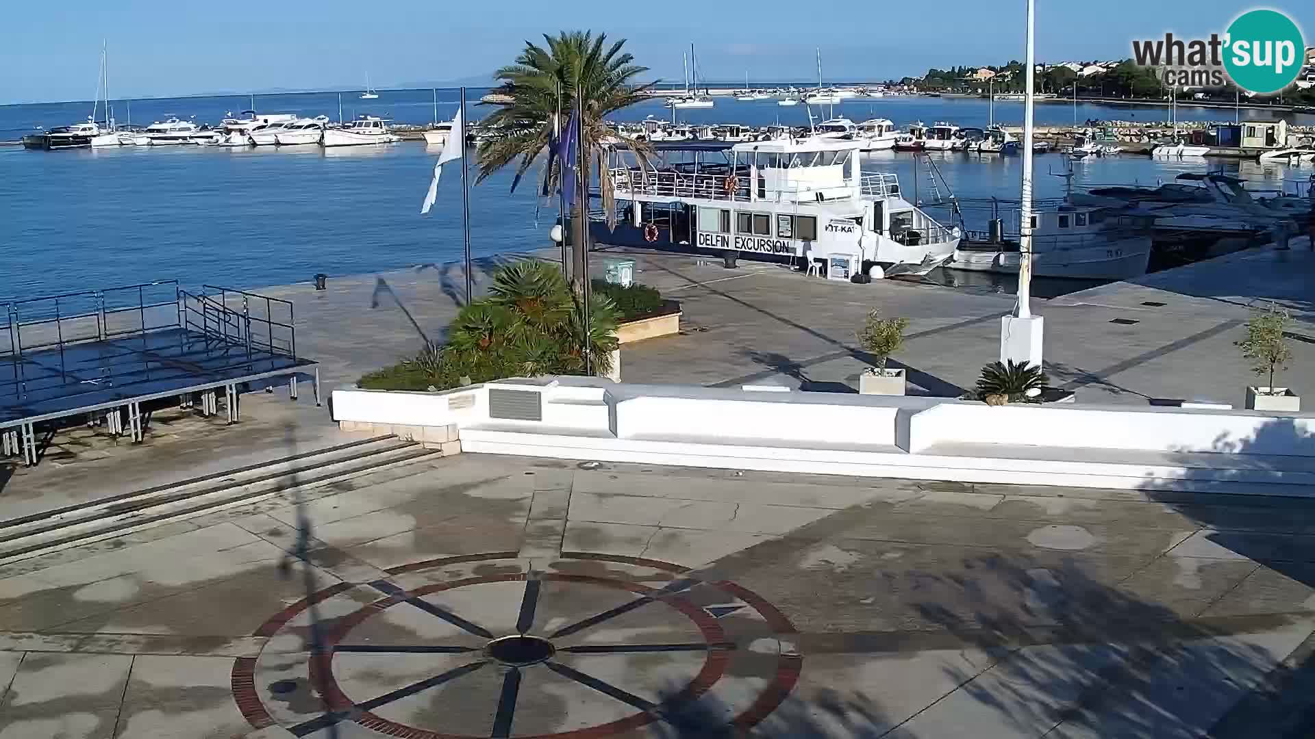 Promenade en Novalia Camera en vivo