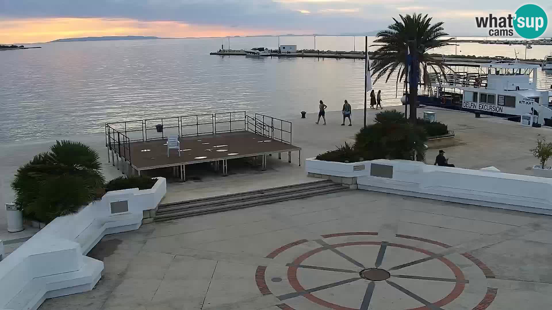 Promenade en Novalia Camera en vivo