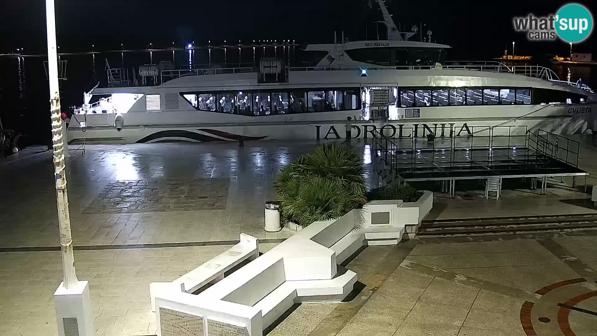 Promenade en Novalia Camera en vivo