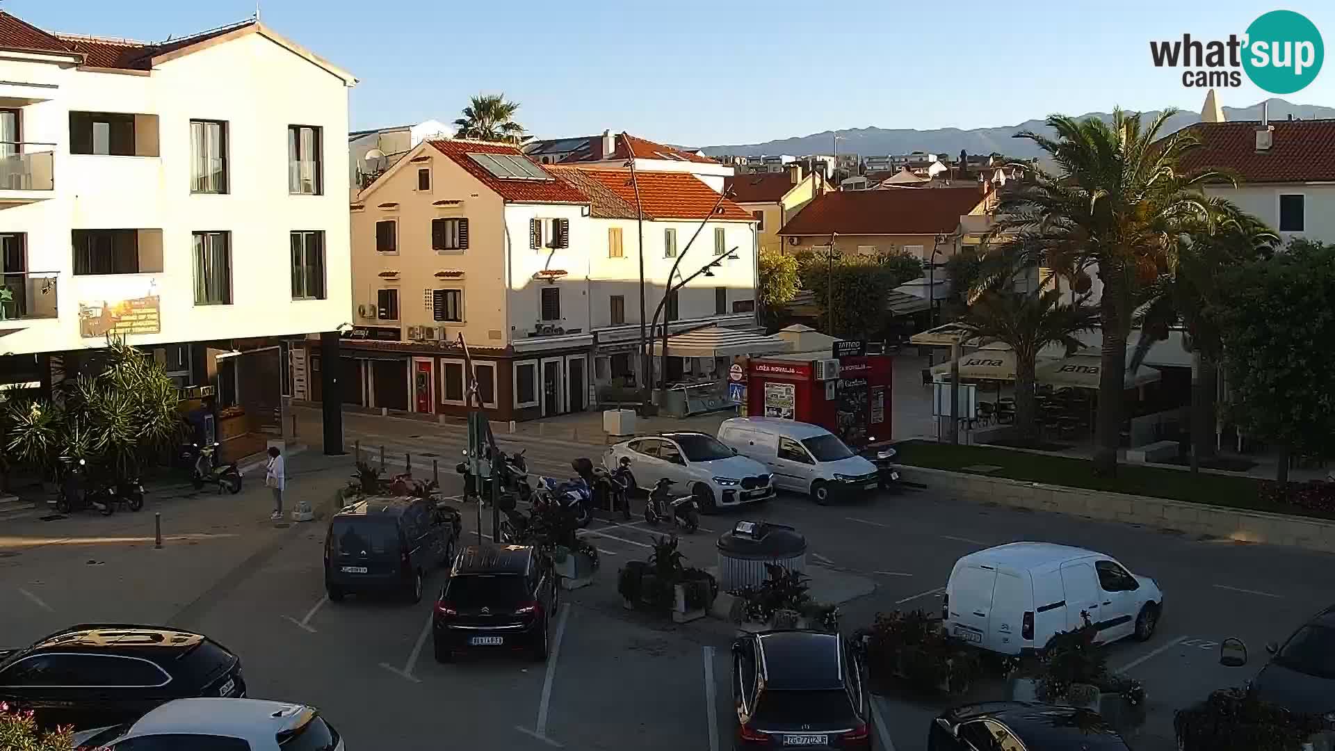Promenade en Novalia Camera en vivo