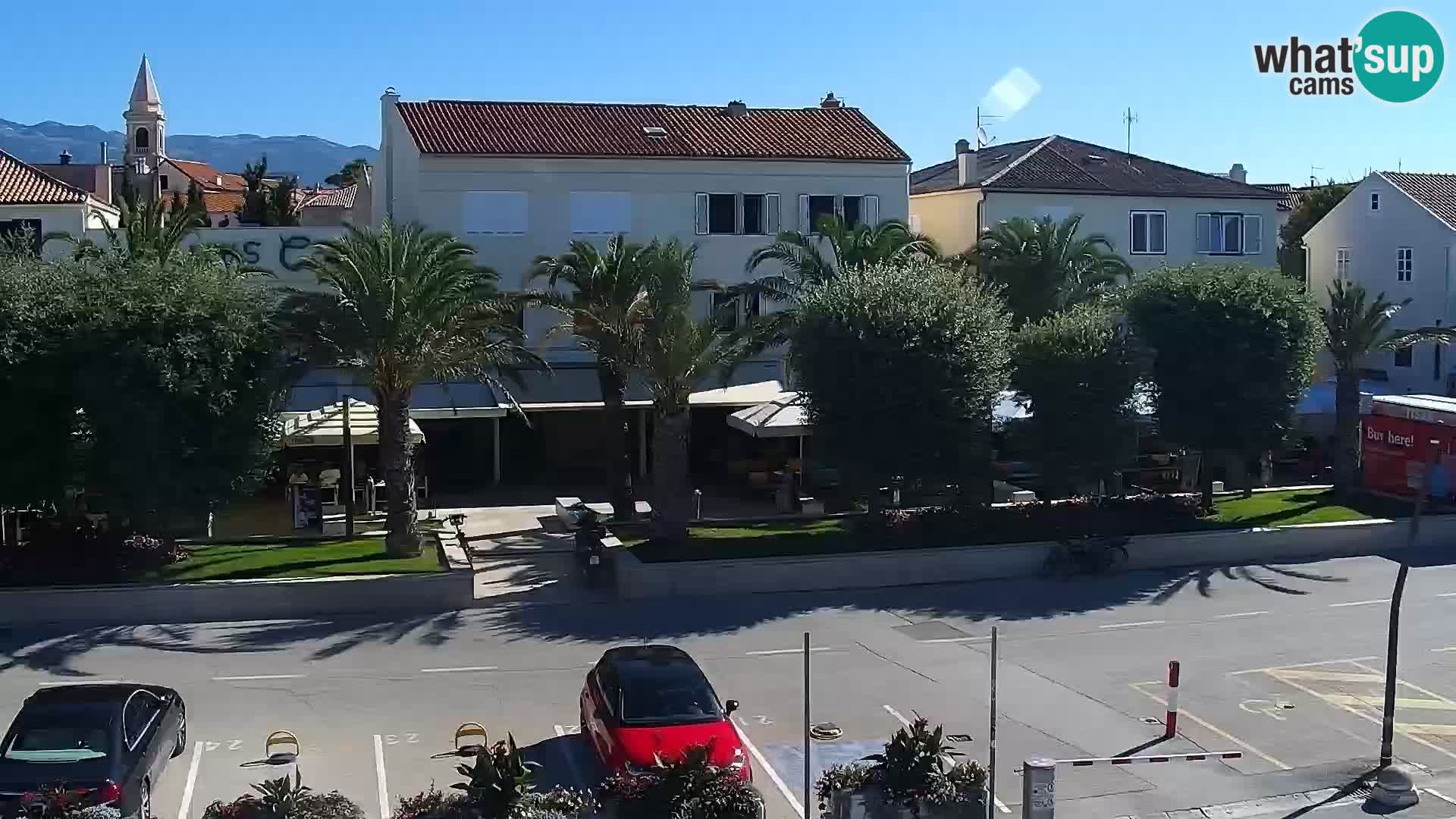 Promenade en Novalia Camera en vivo