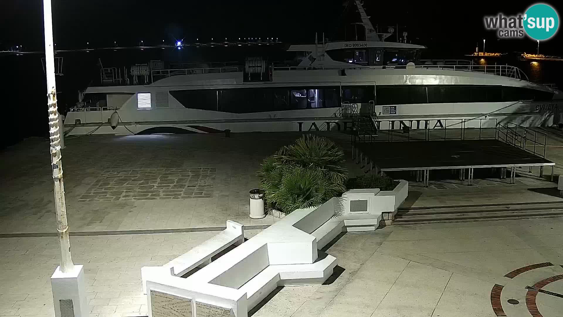Promenade en Novalia Camera en vivo