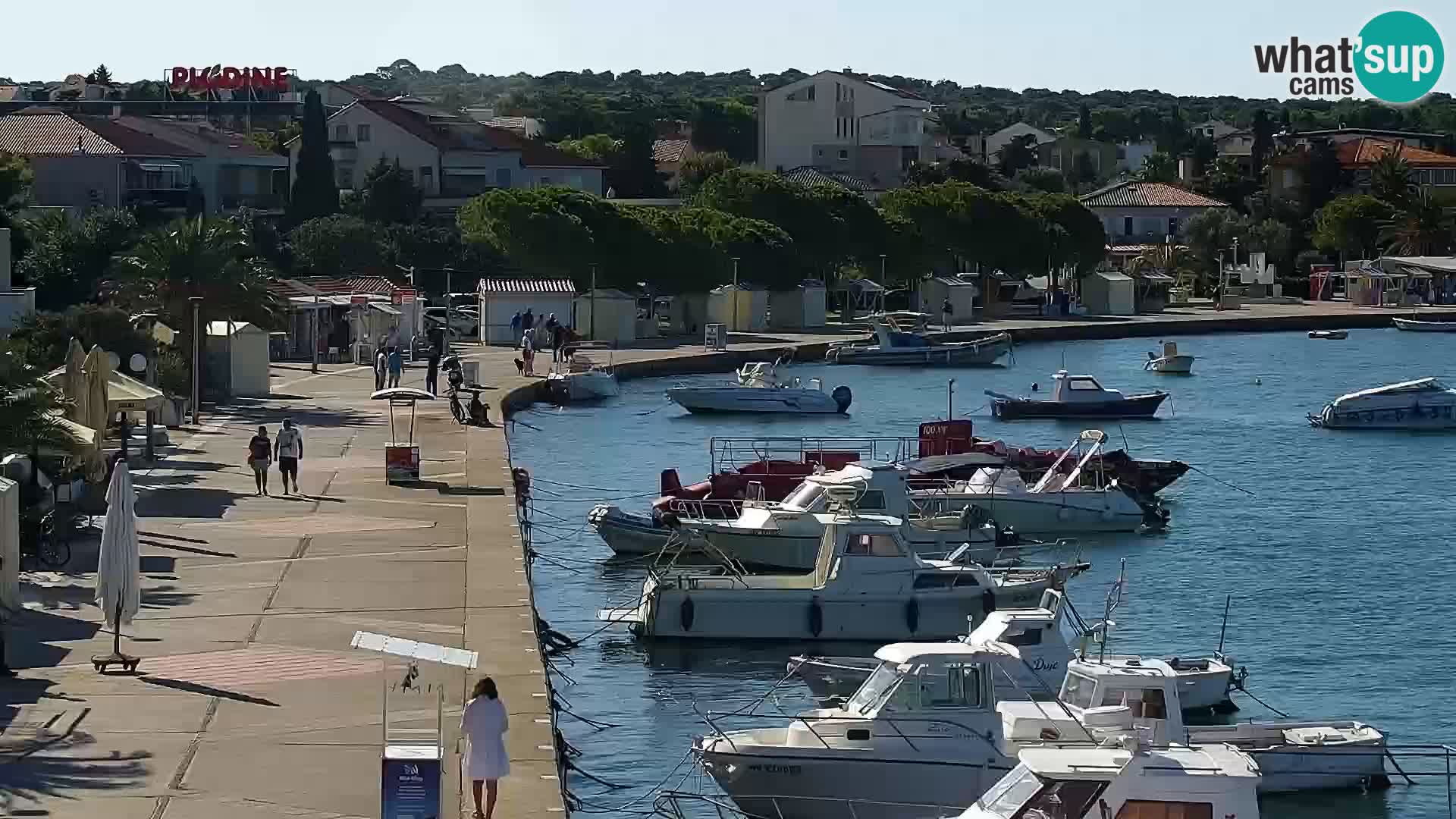 Promenade en Novalia Camera en vivo