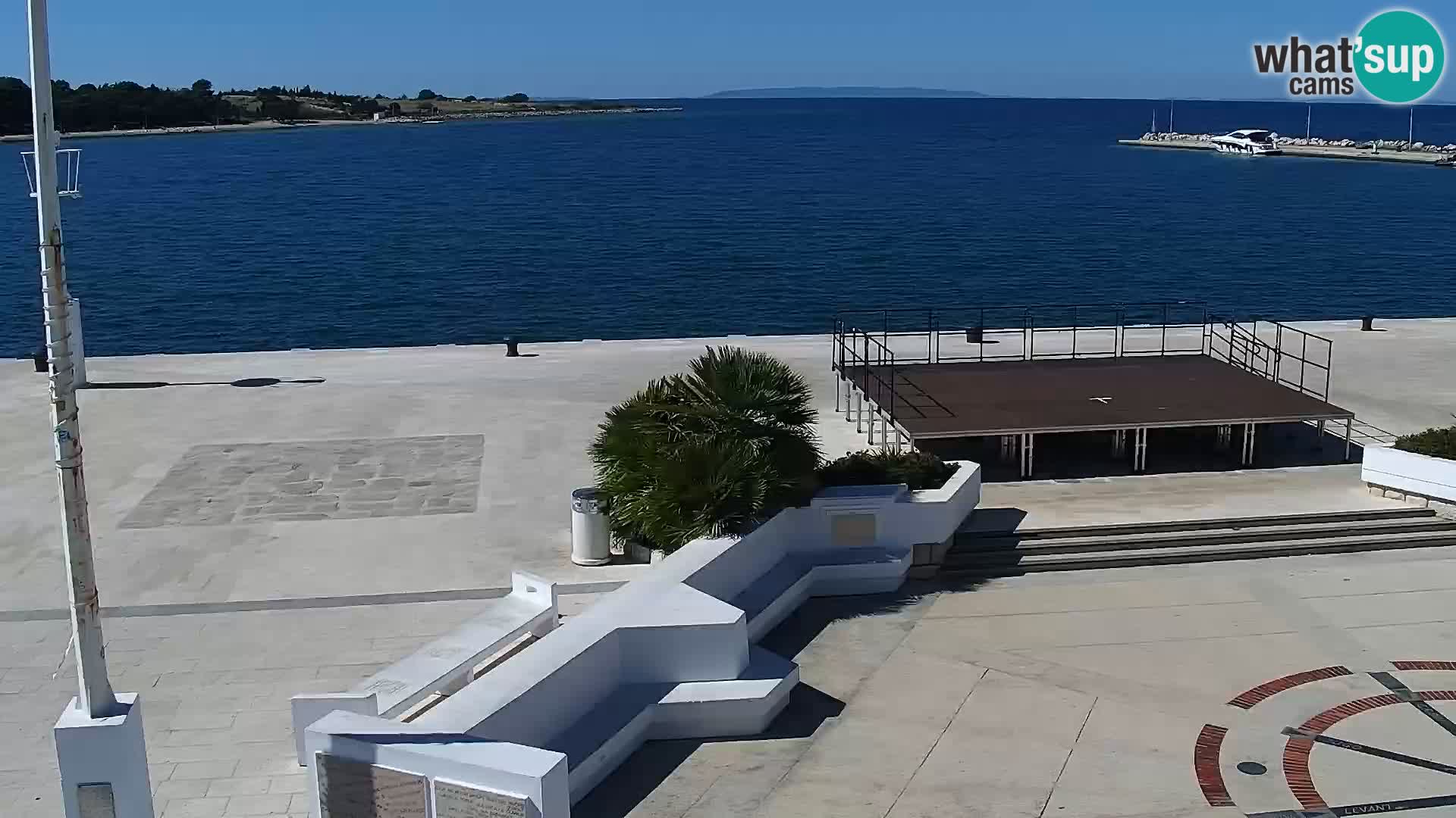 Promenade en Novalia Camera en vivo