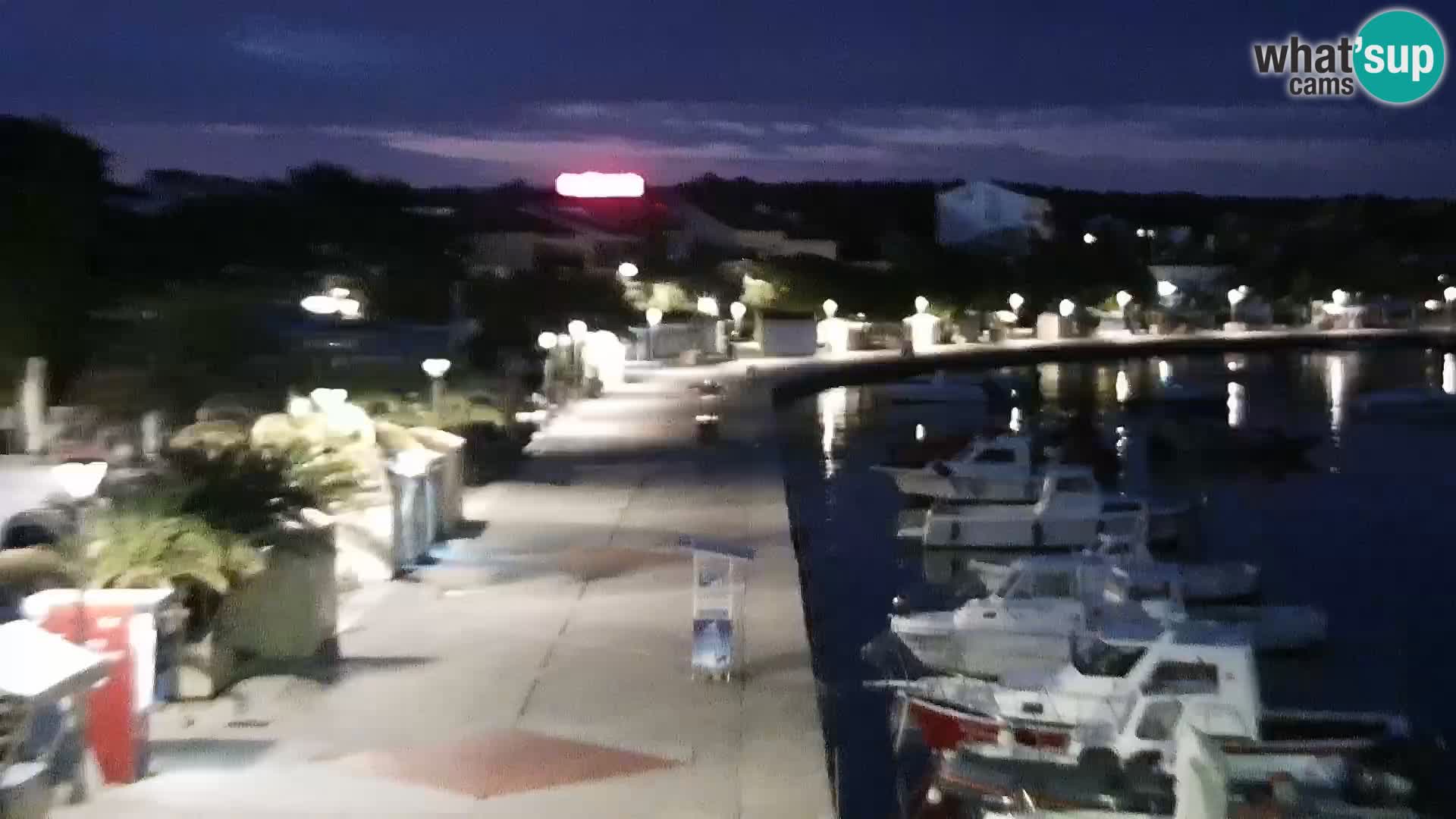 Promenade en Novalia Camera en vivo