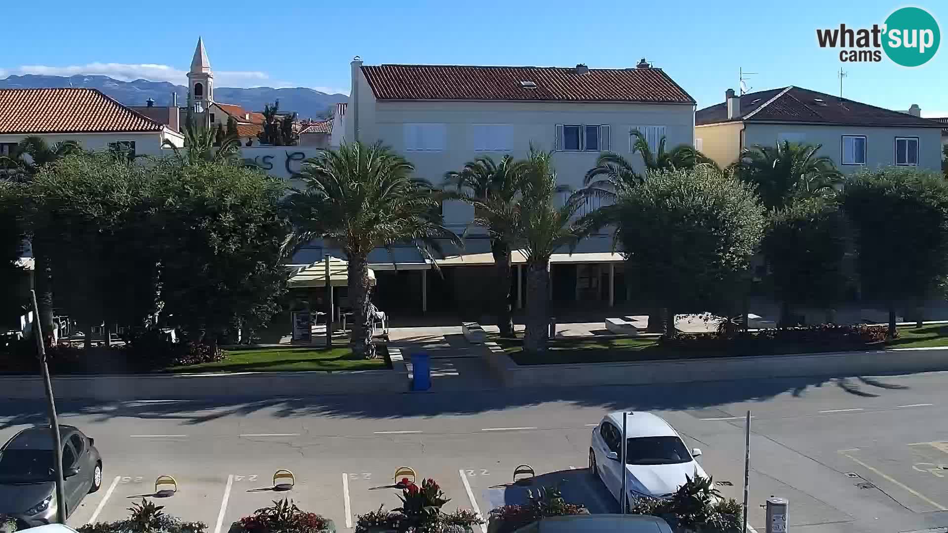 Promenade en Novalia Camera en vivo