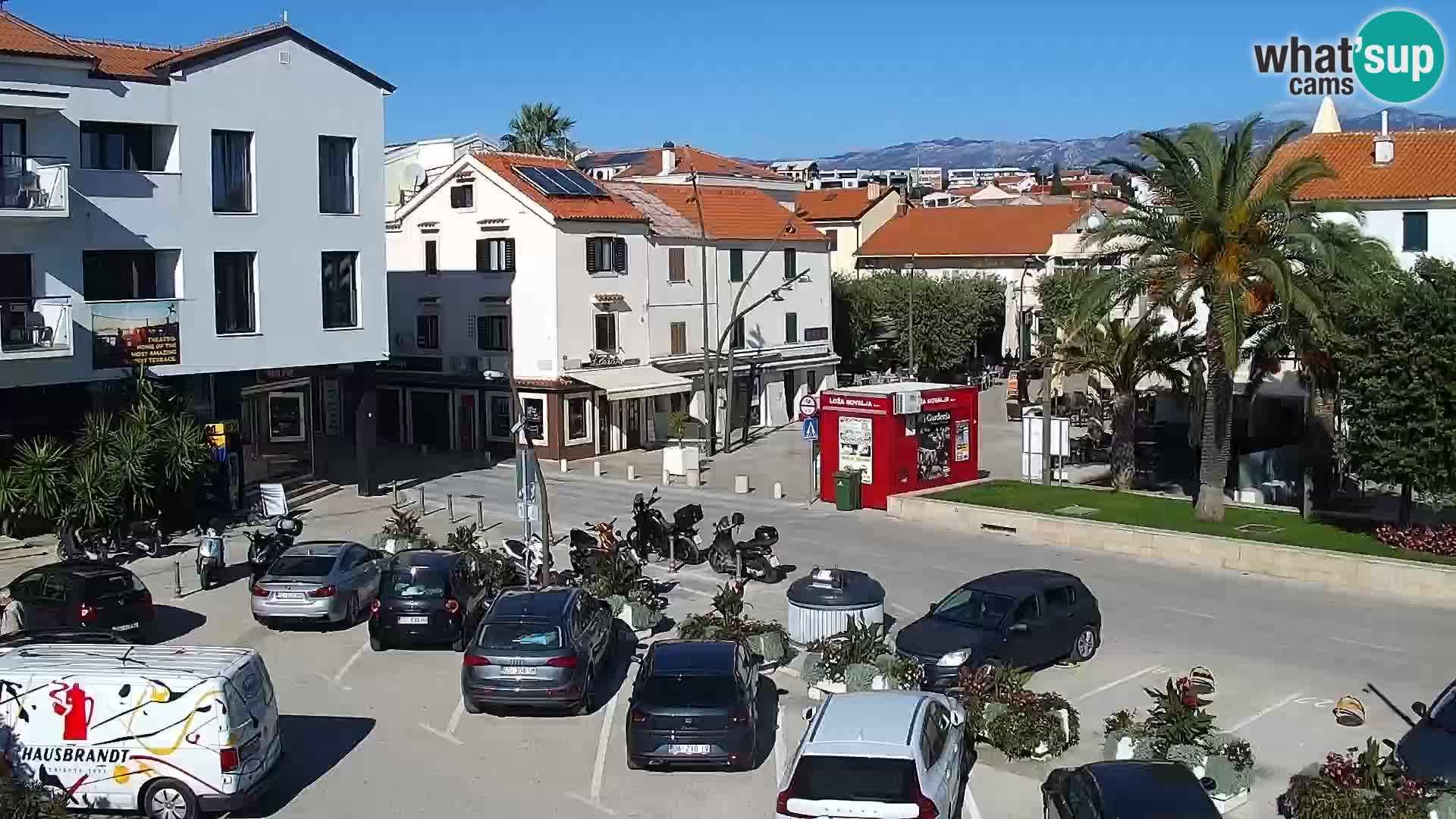 Promenade en Novalia Camera en vivo
