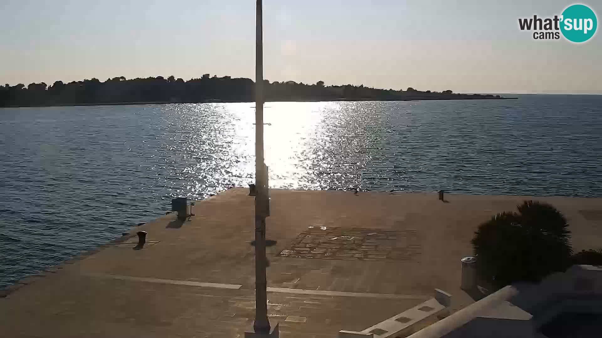 Livecam Promenade a Novalja