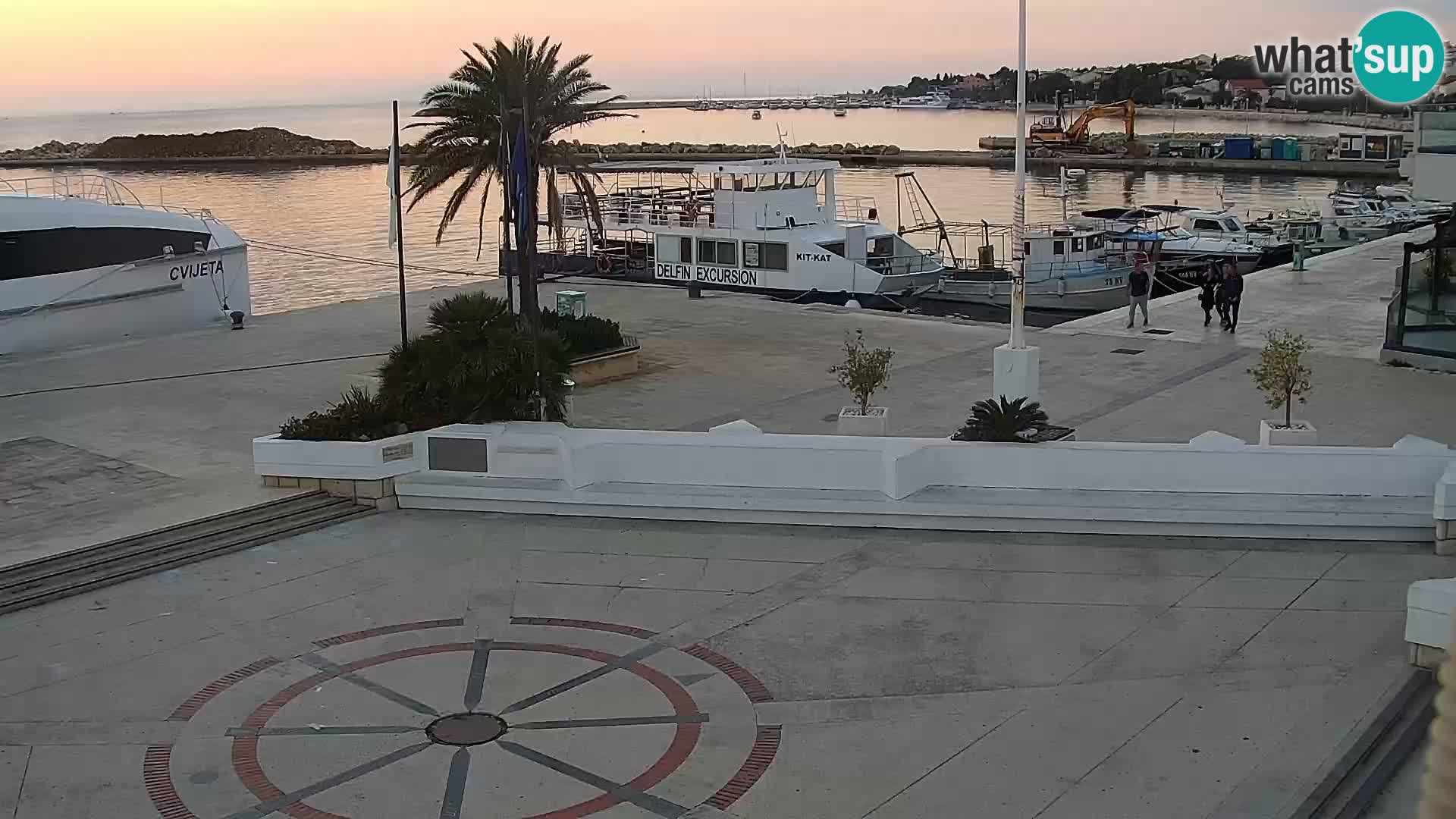Promenade en Novalia Camera en vivo