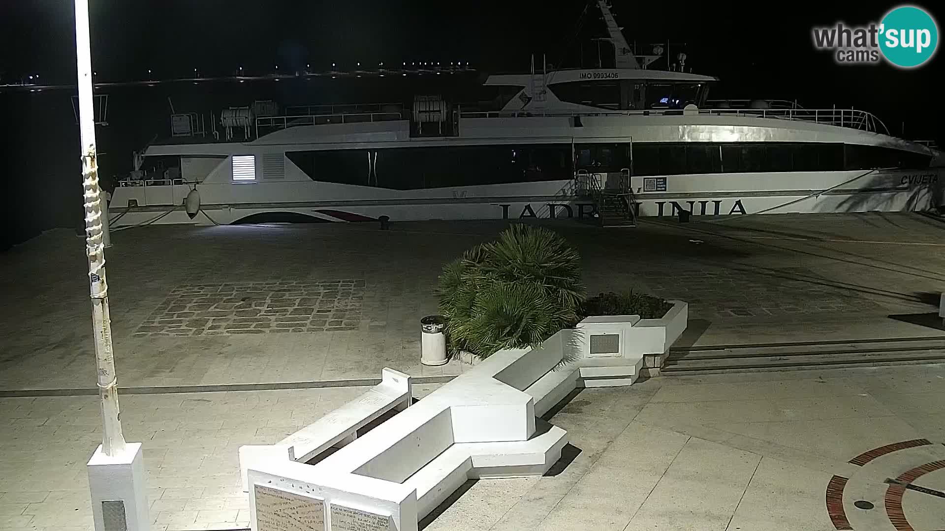 Promenade en Novalia Camera en vivo
