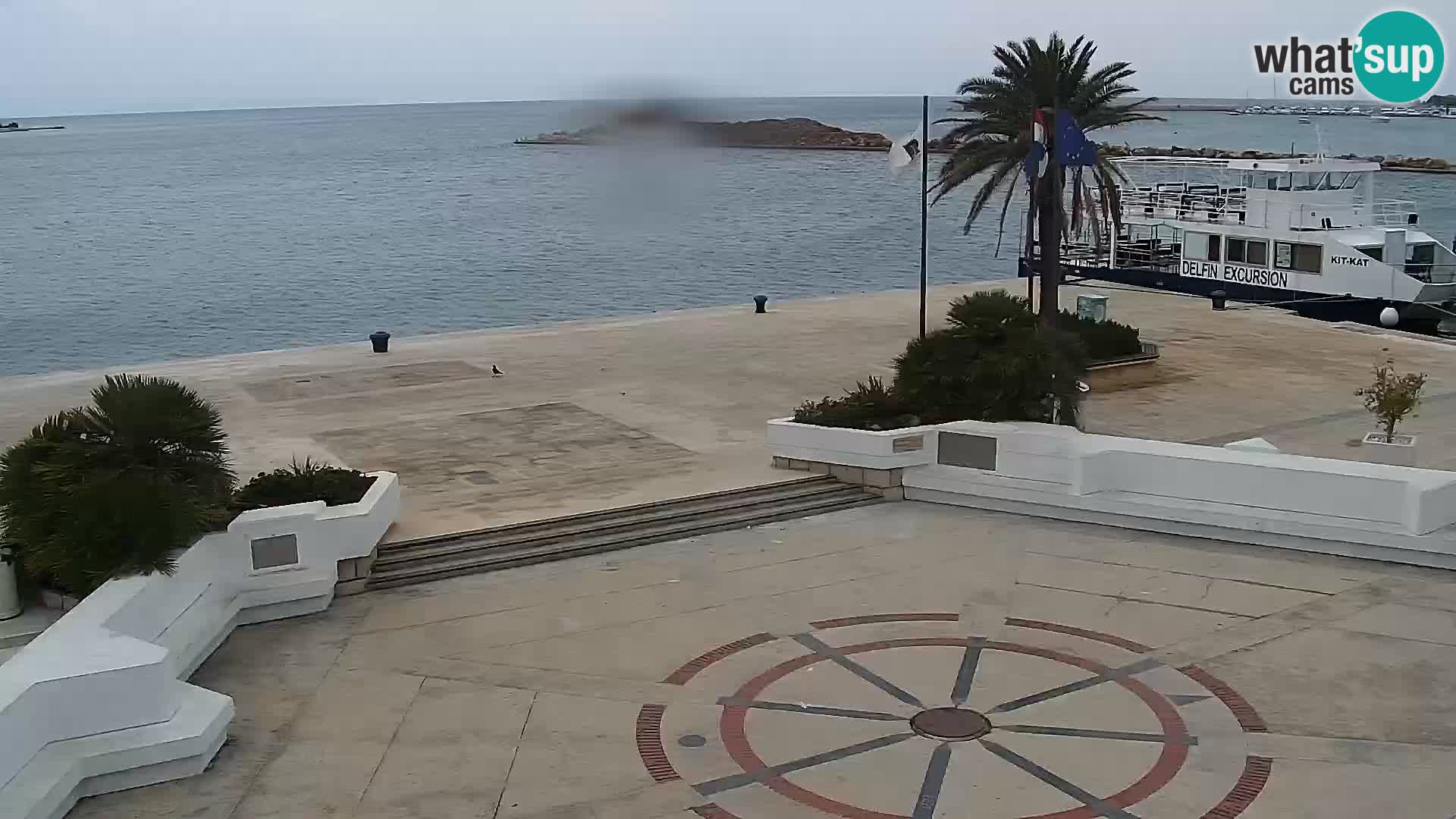 Promenade en Novalia Camera en vivo