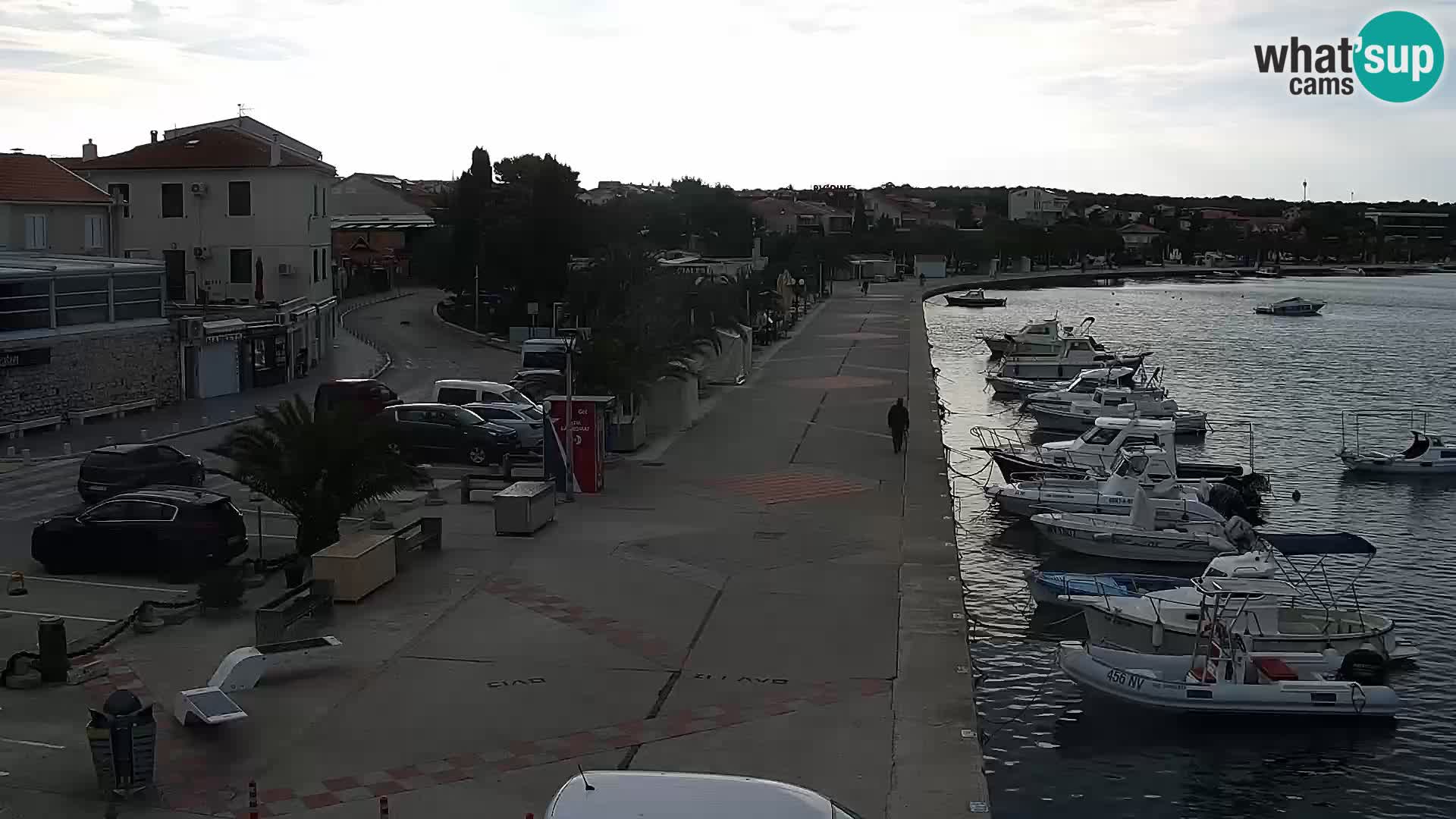 Promenade en Novalia Camera en vivo