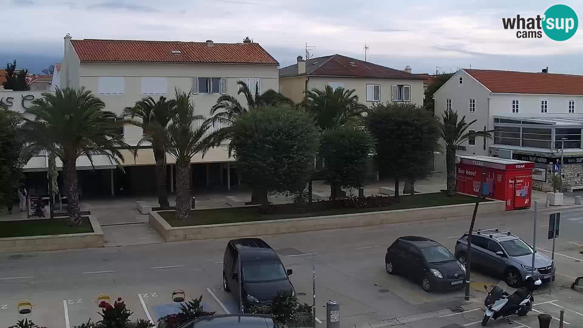 Promenade en Novalia Camera en vivo