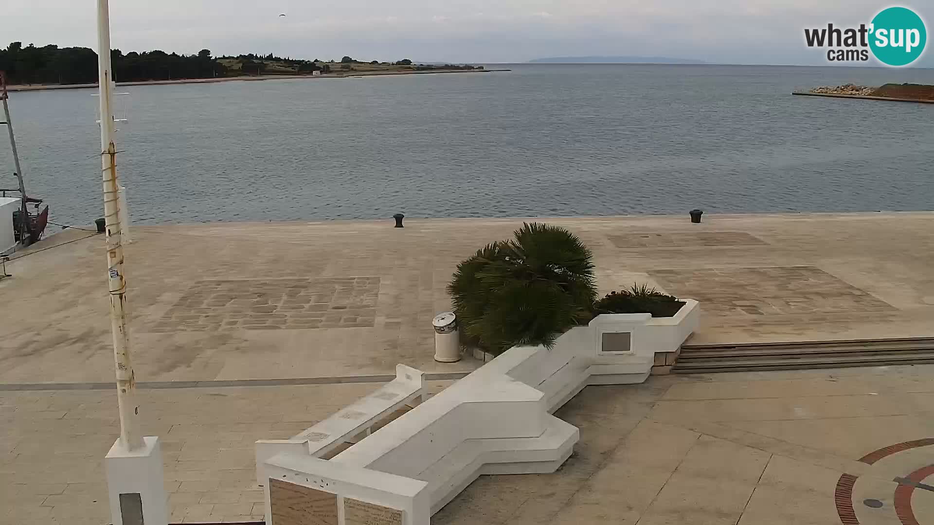 Promenade en Novalia Camera en vivo