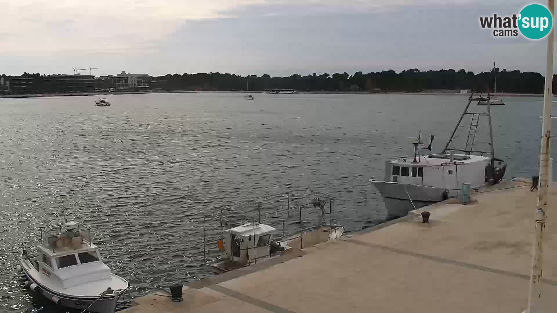 Livecam Promenade a Novalja