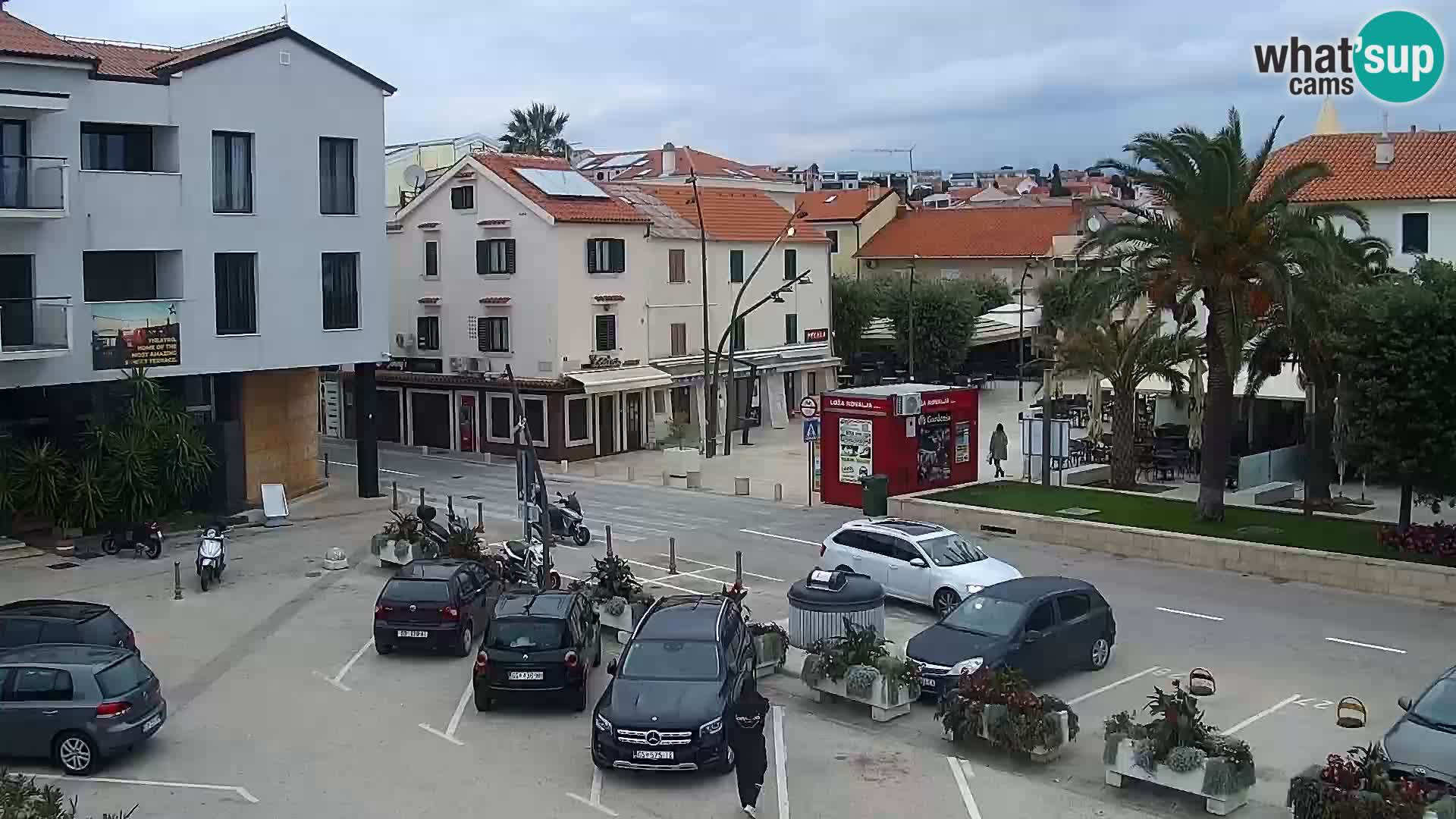 Promenade en Novalia Camera en vivo