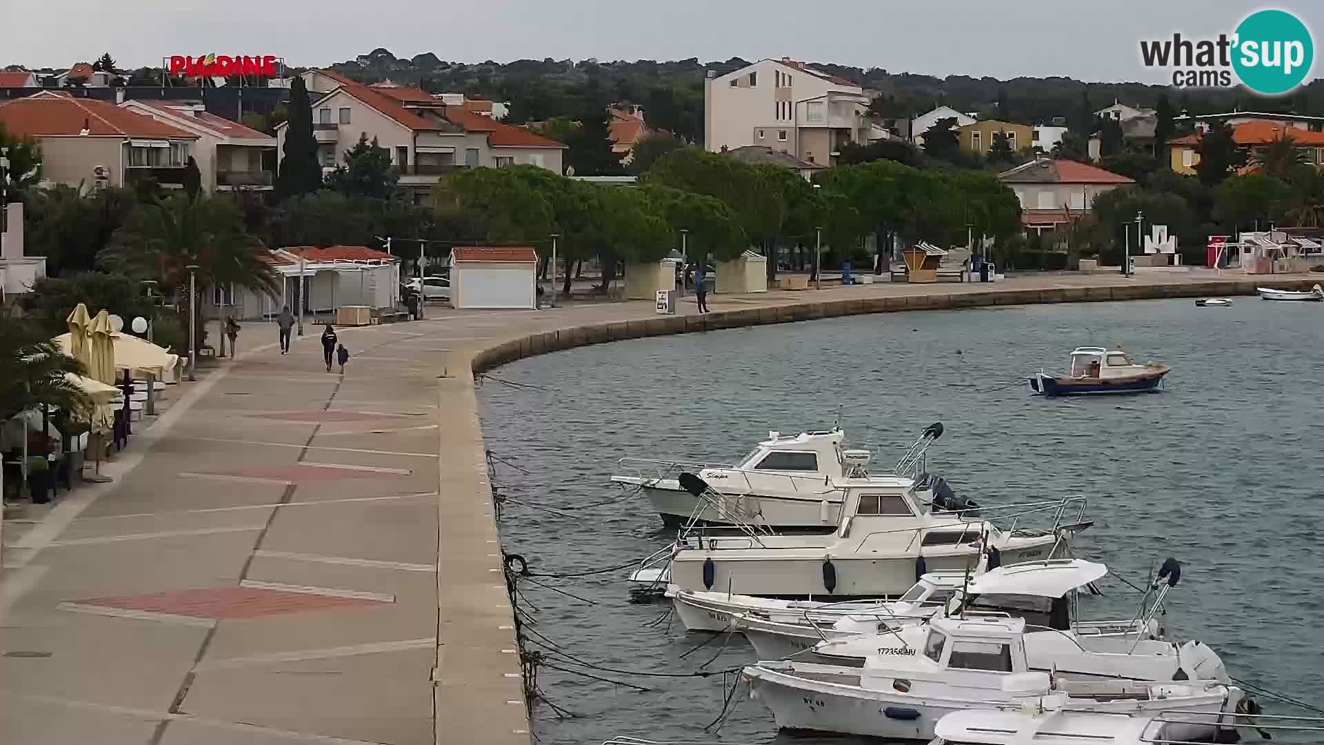 Promenade en Novalia Camera en vivo