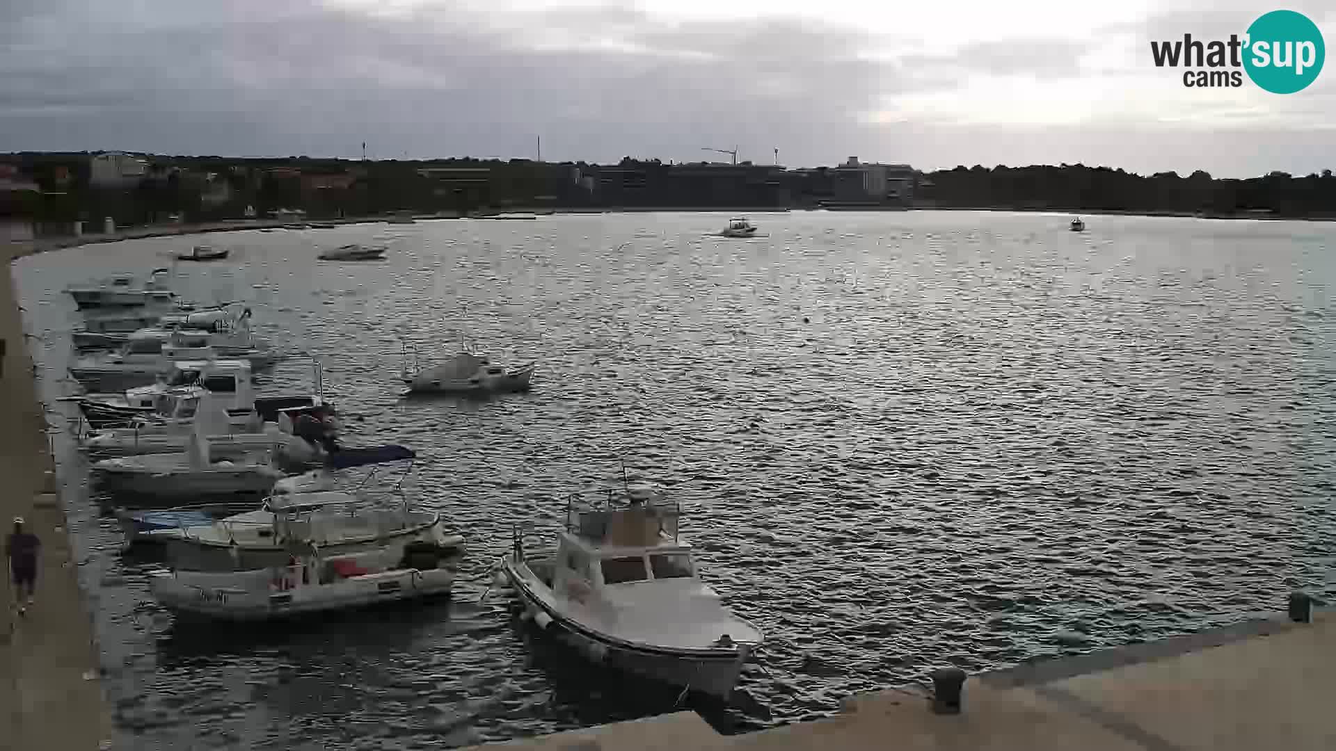 Webcam Novalja seaside promenade