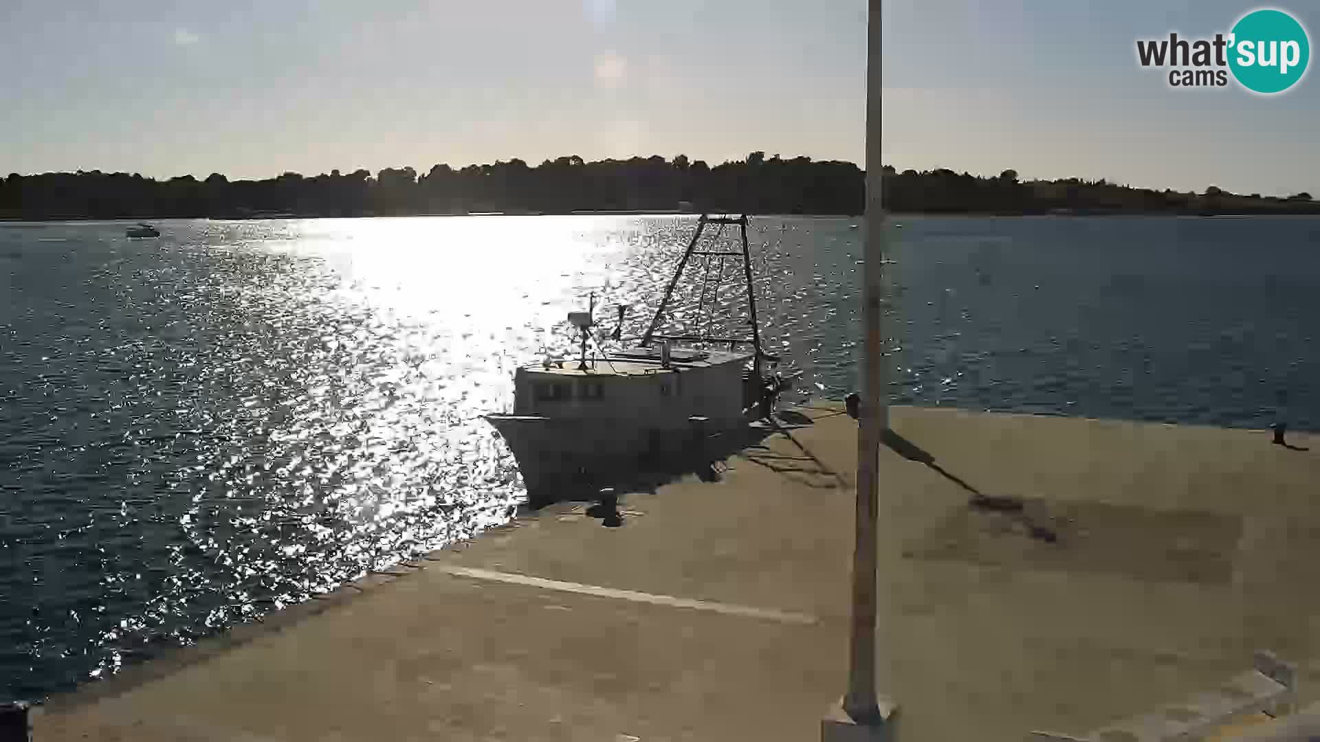 Novalja spletna kamera promenada