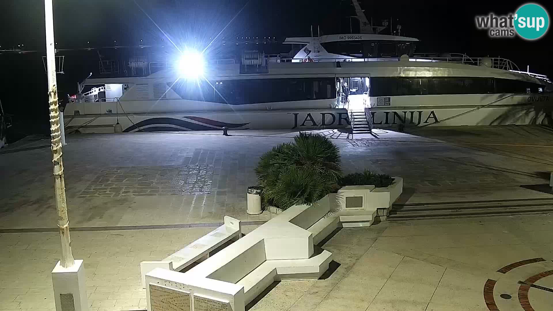 Promenade en Novalia Camera en vivo