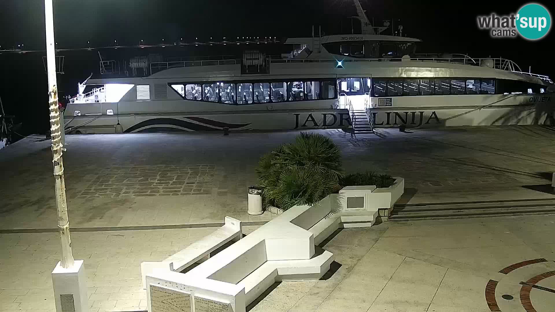 Promenade en Novalia Camera en vivo