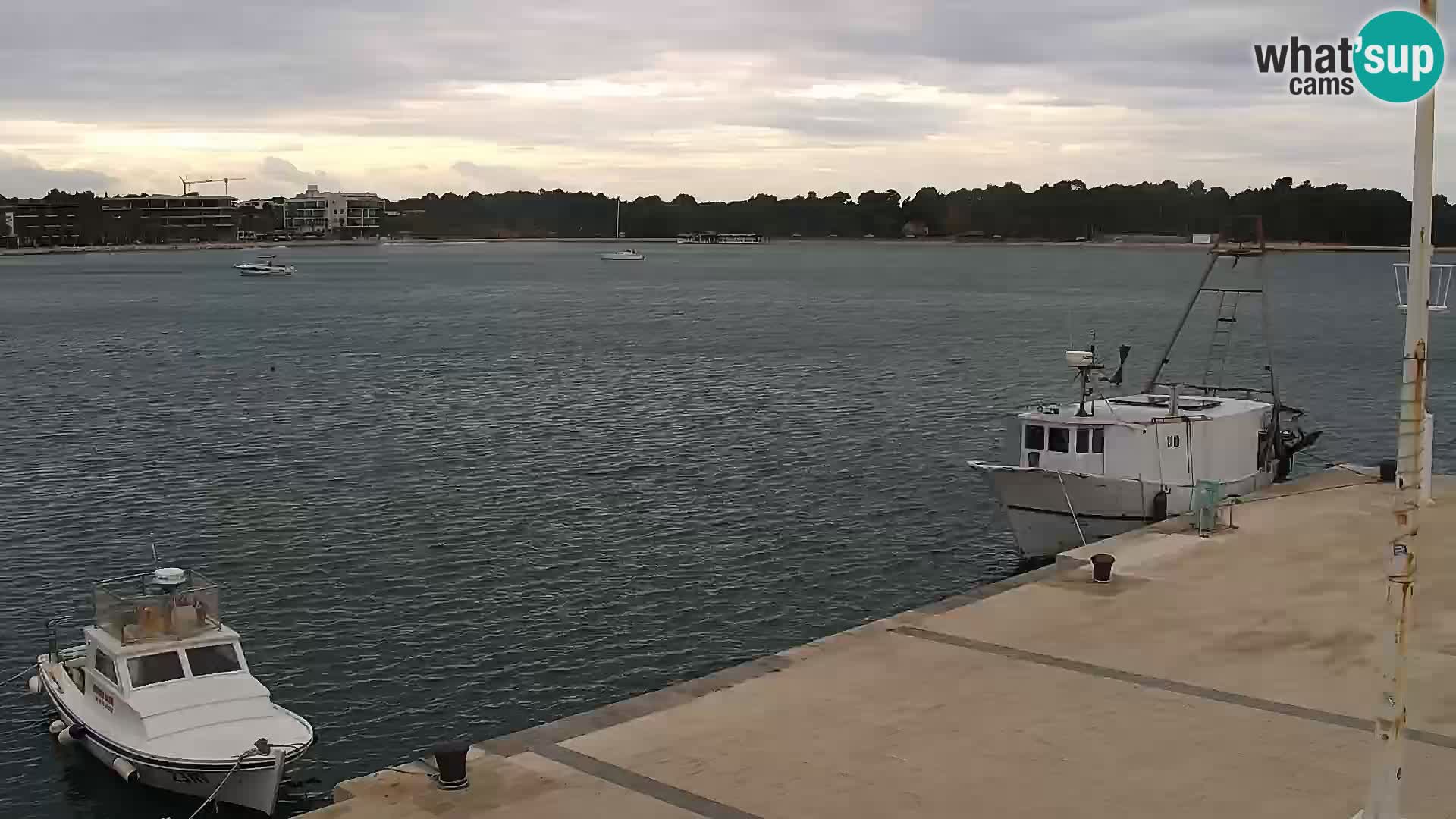 Livecam Promenade a Novalja