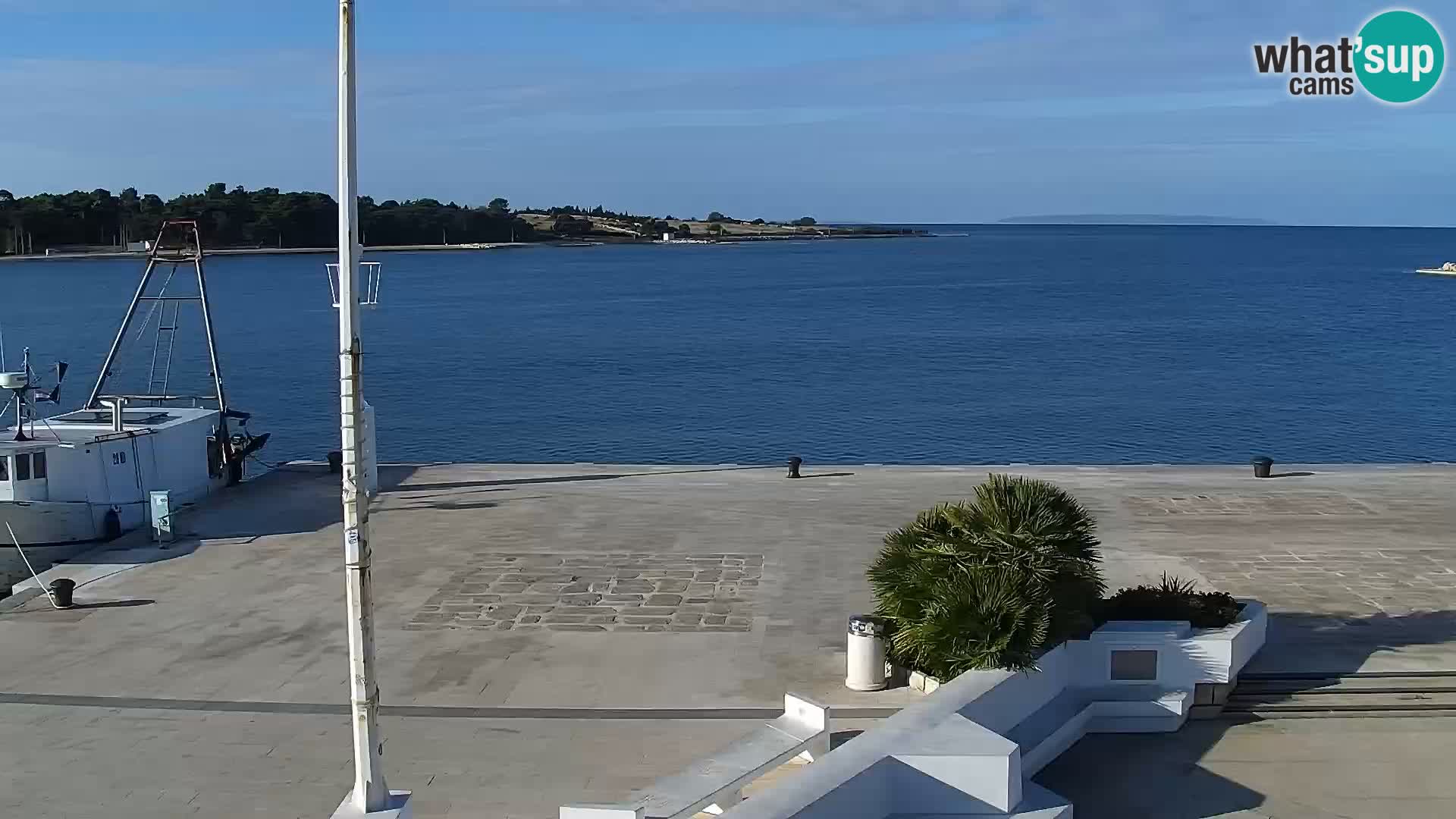 Webcam Novalja seaside promenade