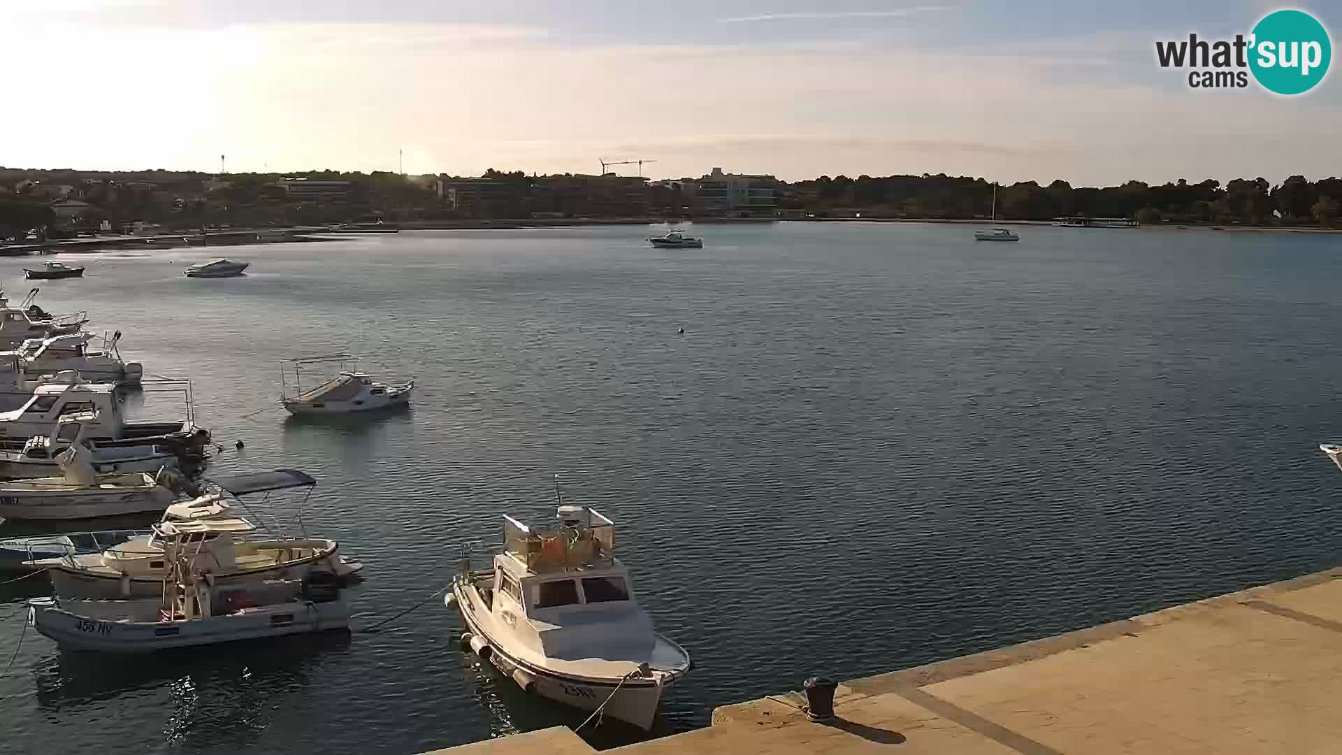 Livecam Promenade a Novalja