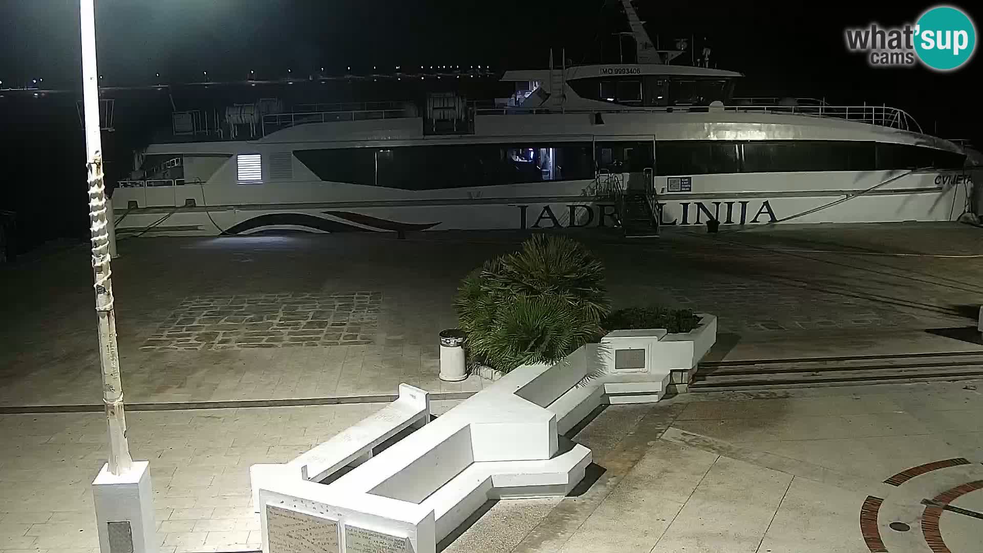 Promenade en Novalia Camera en vivo