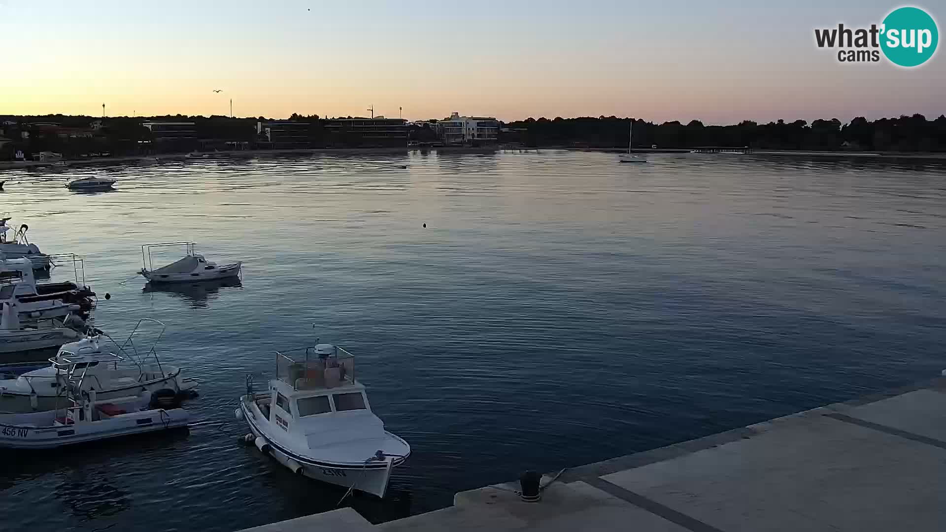 Promenade en Novalia Camera en vivo