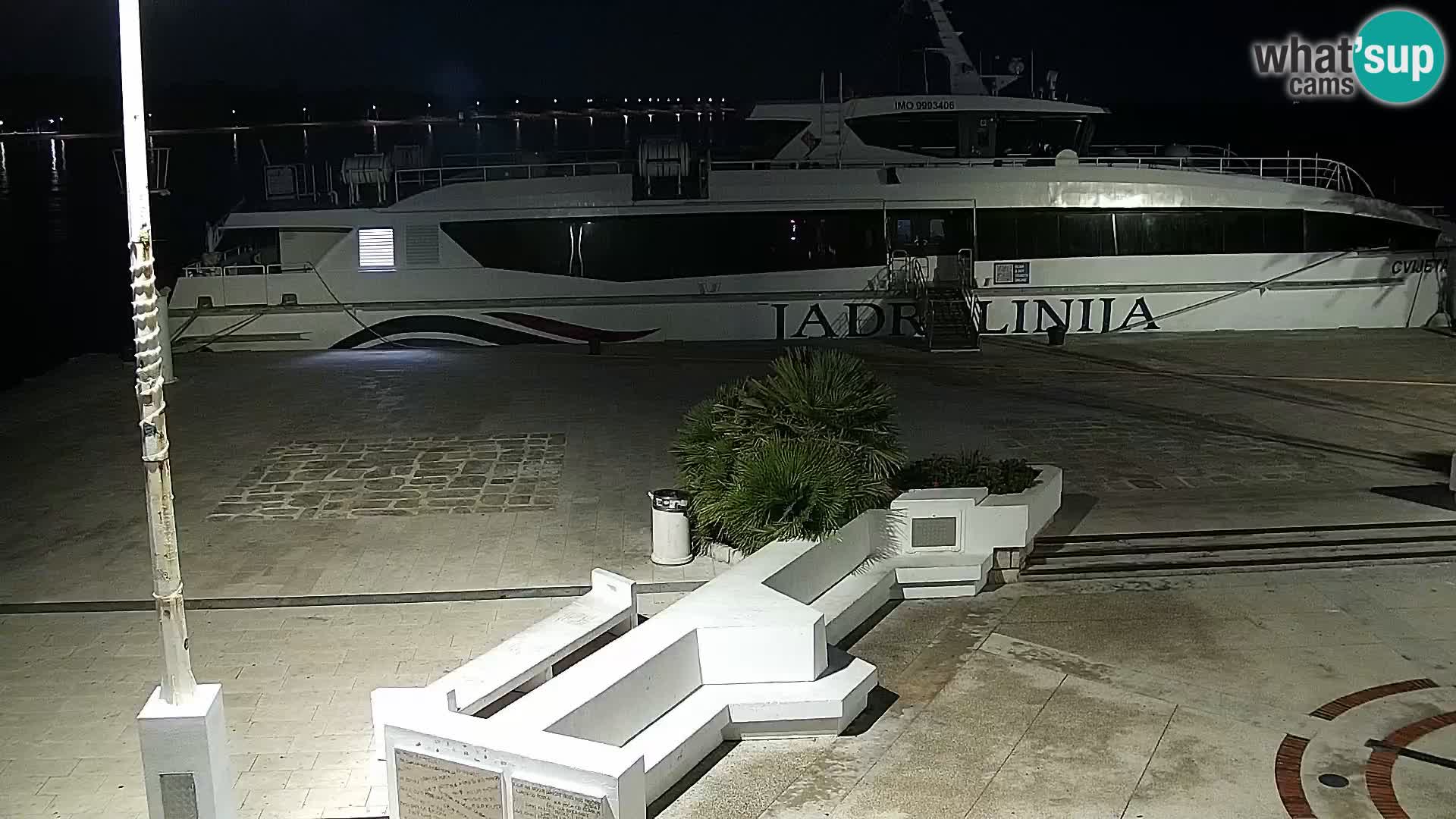 Promenade en Novalia Camera en vivo