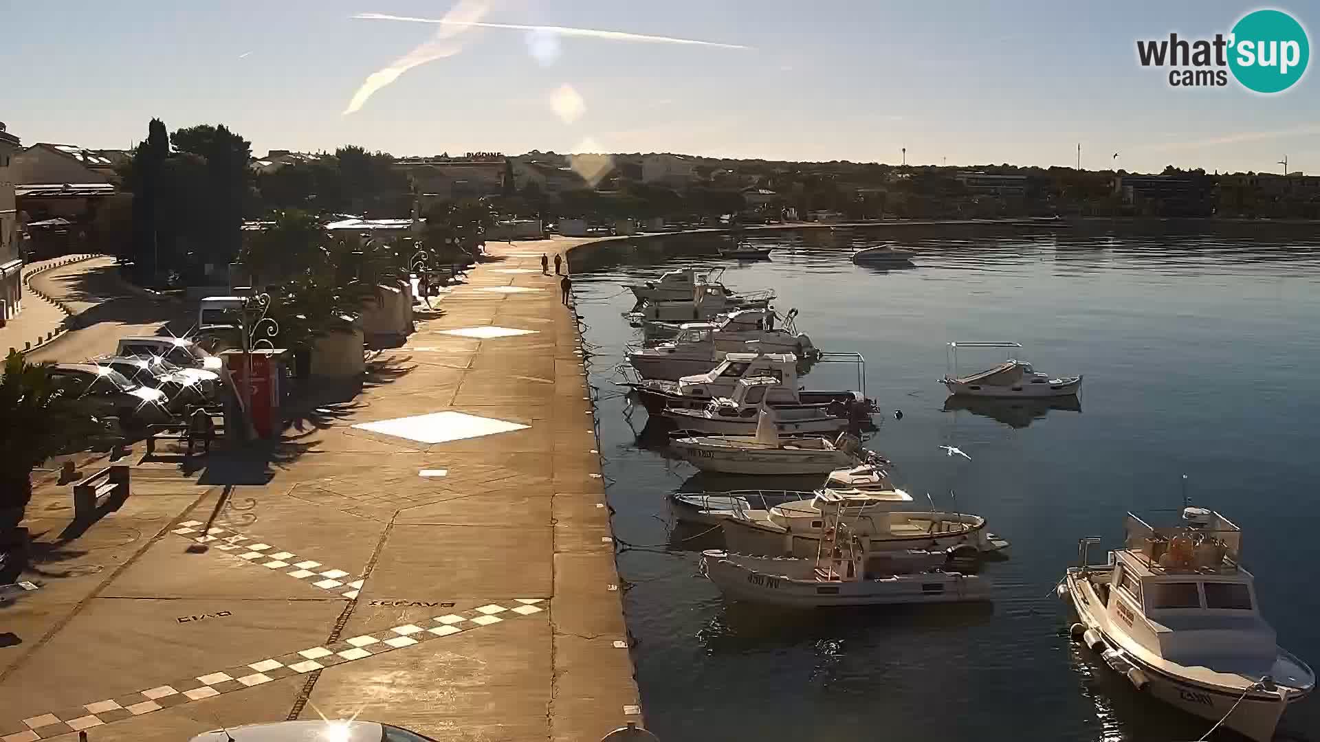 Promenade en Novalia Camera en vivo