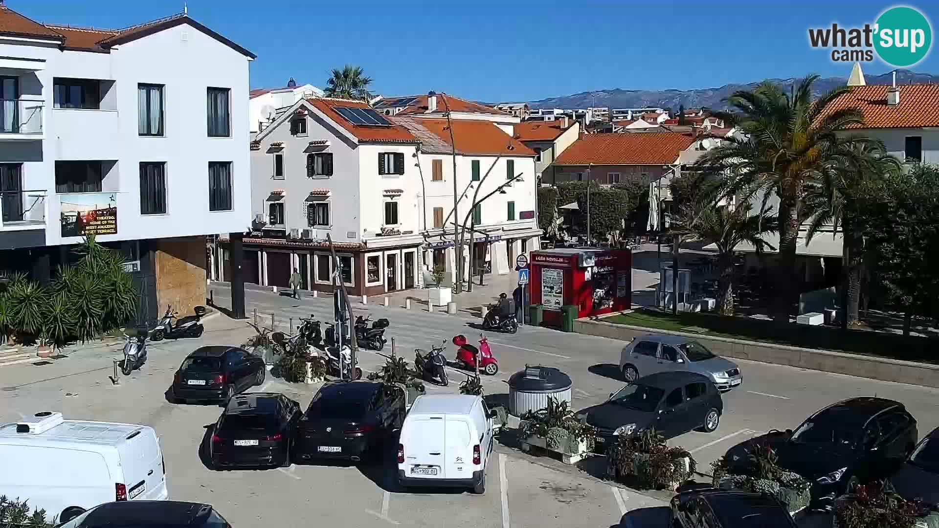 Promenade en Novalia Camera en vivo