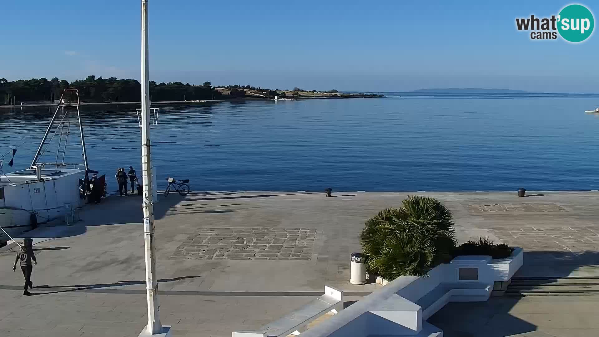 Promenade en Novalia Camera en vivo