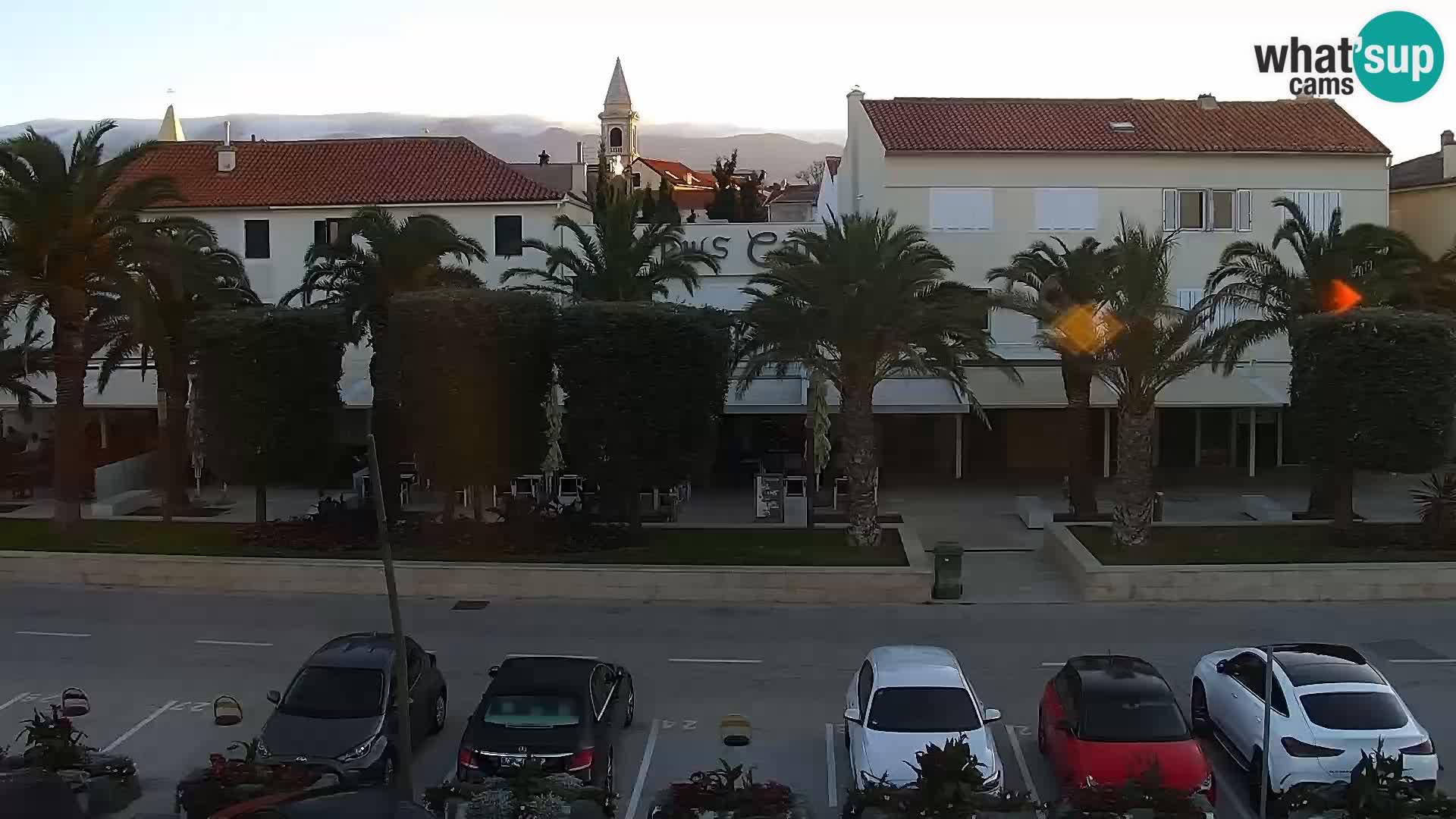 Promenade en Novalia Camera en vivo