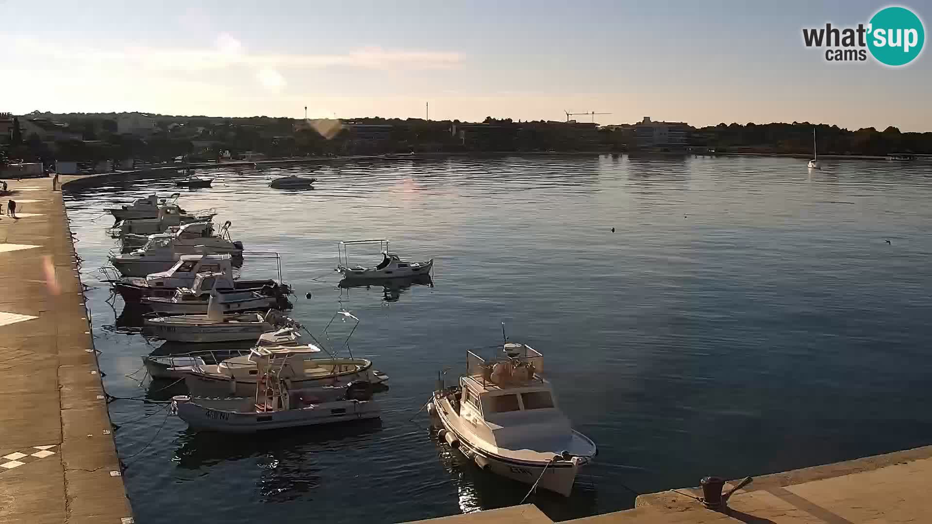 Novalja spletna kamera promenada