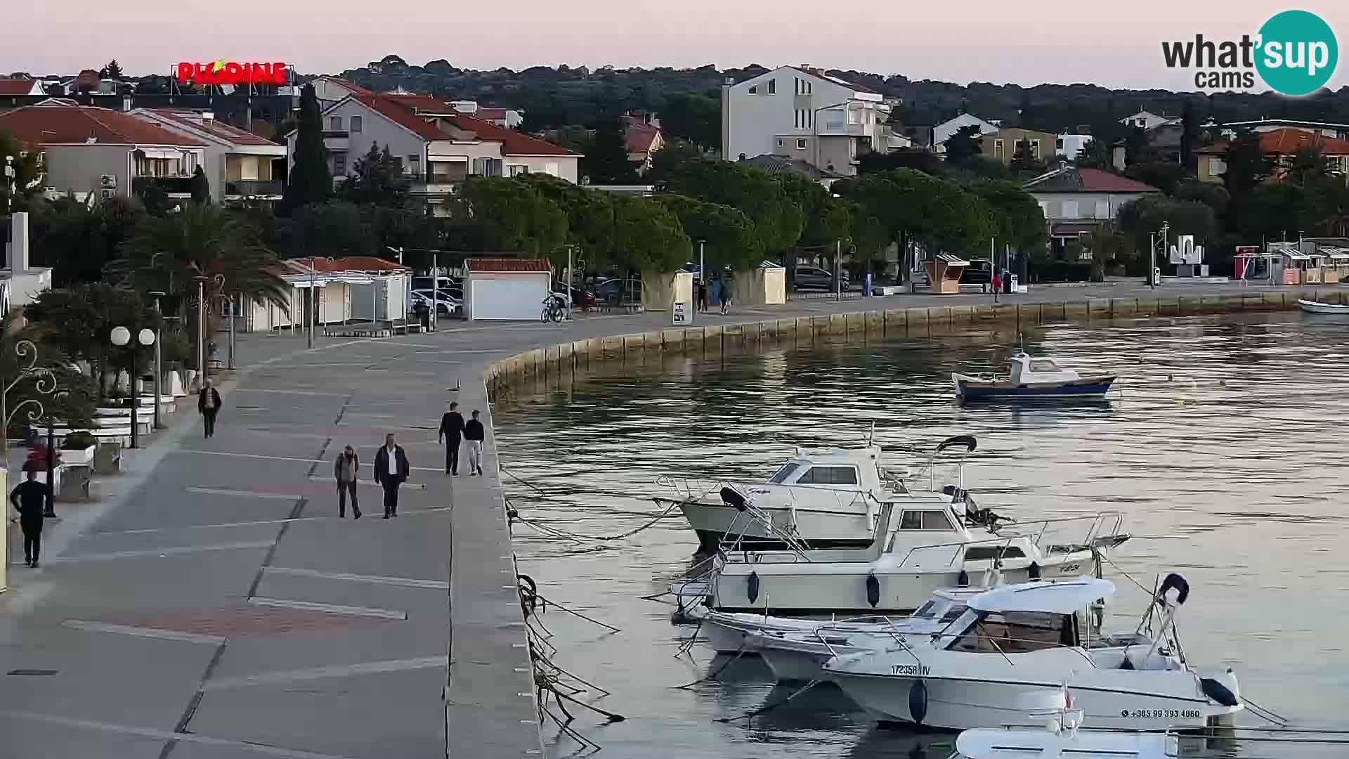 Promenade en Novalia Camera en vivo