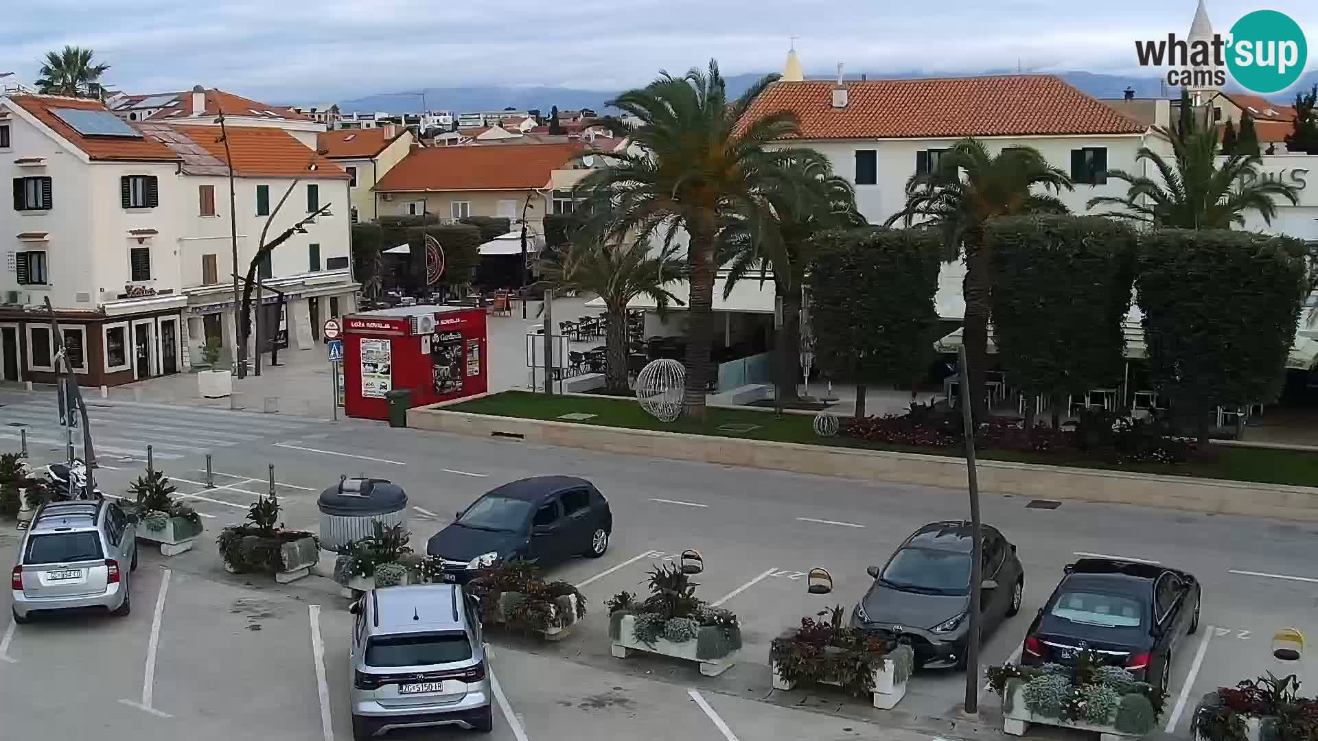 Promenade en Novalia Camera en vivo