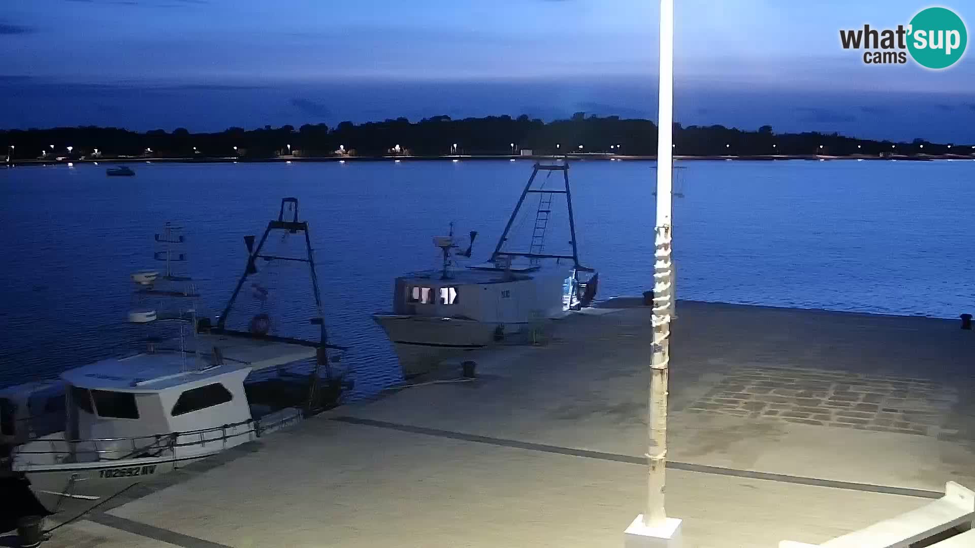 Novalja Livecam promenade