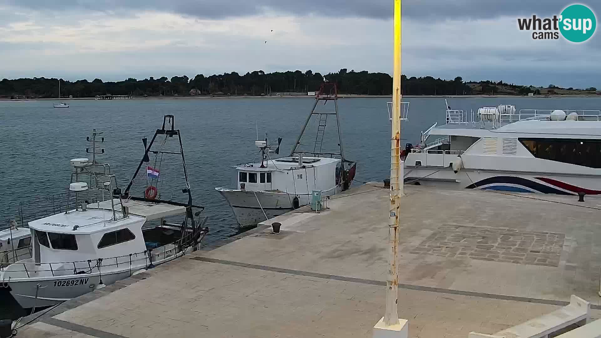 Web kamera Novalja promenada