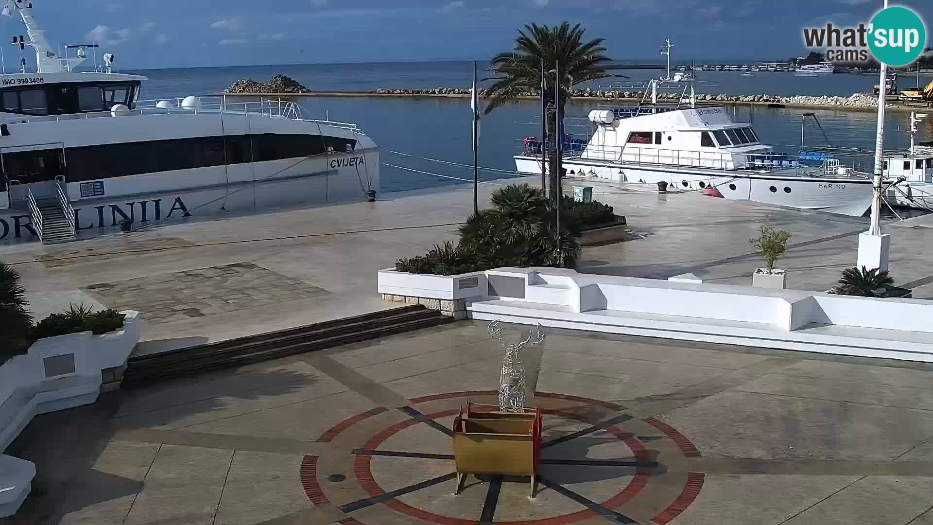 Promenade en Novalia Camera en vivo