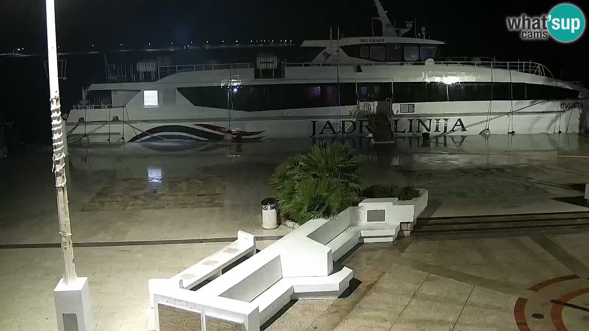 Promenade en Novalia Camera en vivo