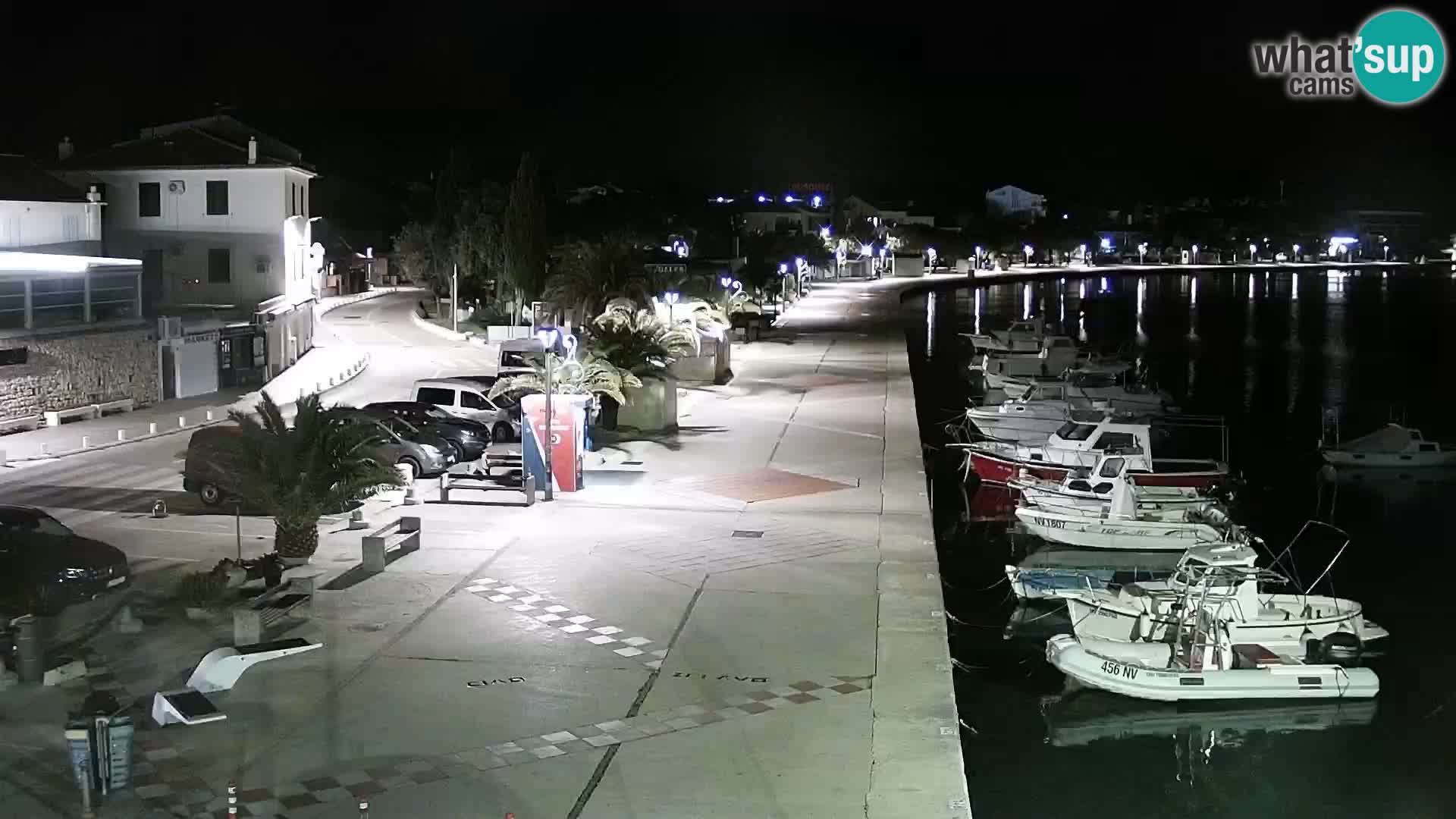 Promenade en Novalia Camera en vivo