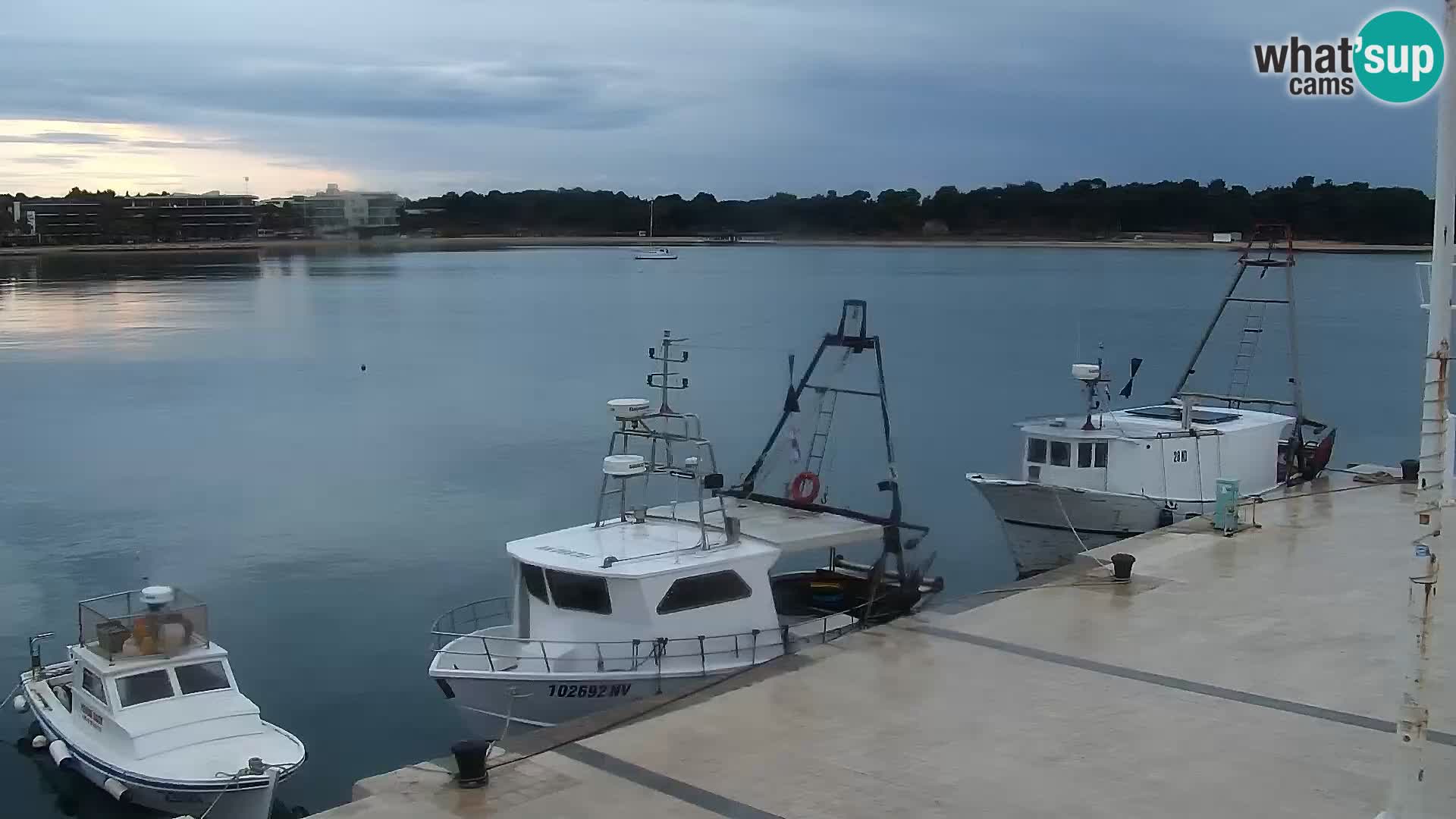 Novalja Livecam promenade