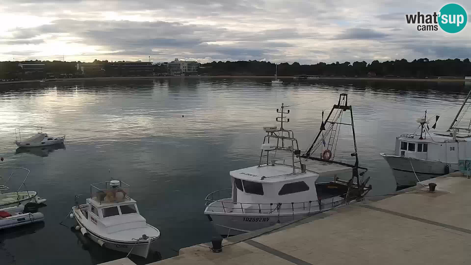 Live webcam Novaglia lungomare