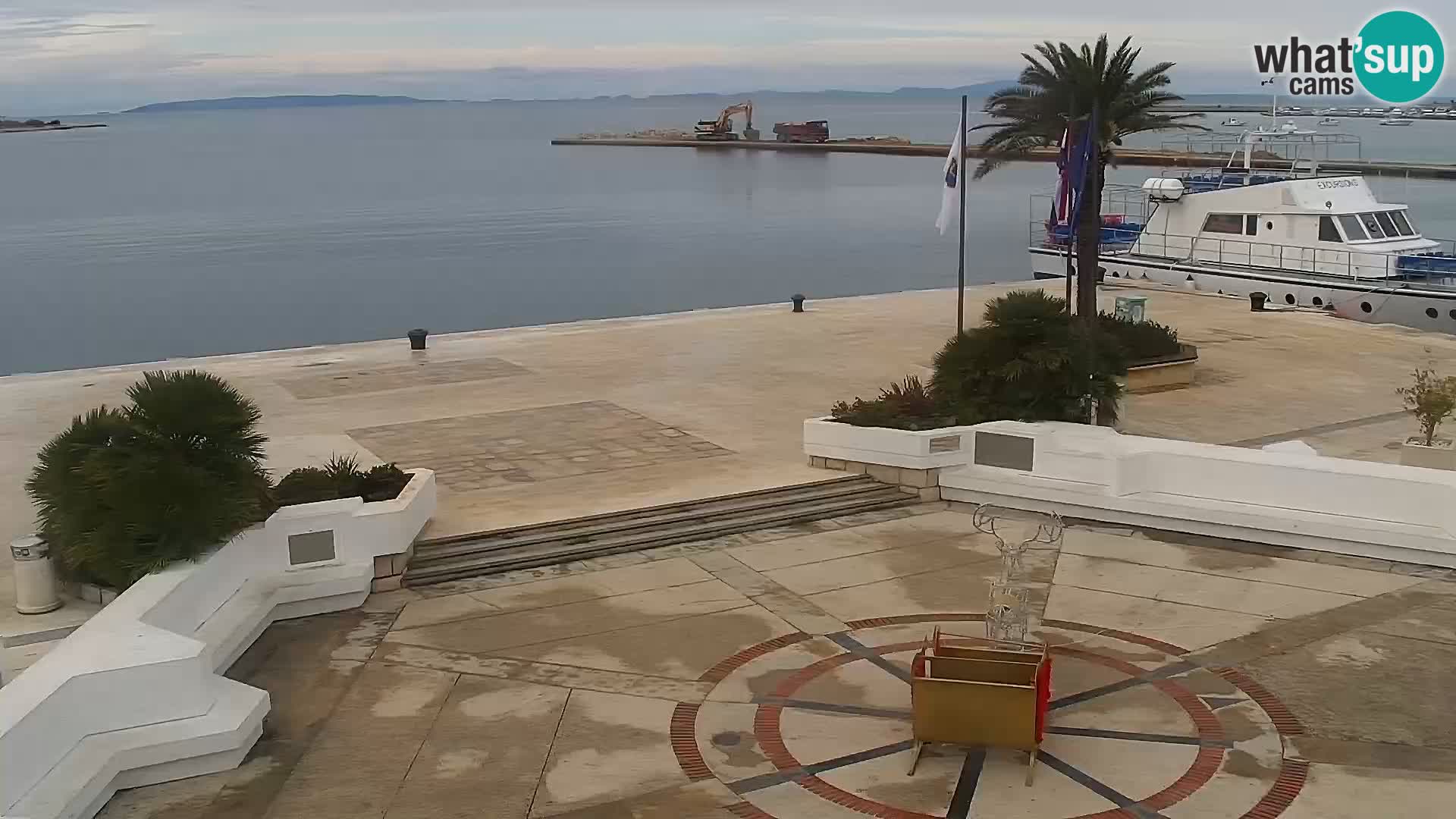 Promenade en Novalia Camera en vivo