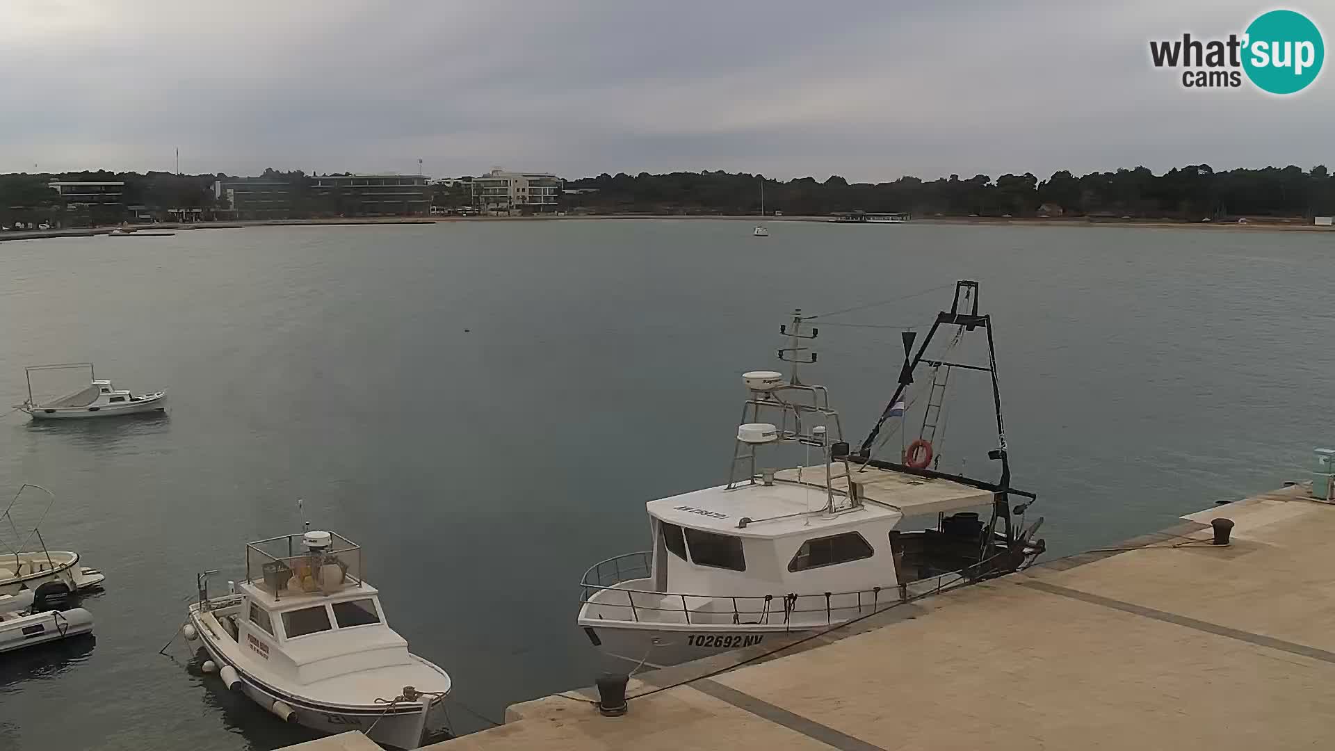 Livecam Promenade a Novalja